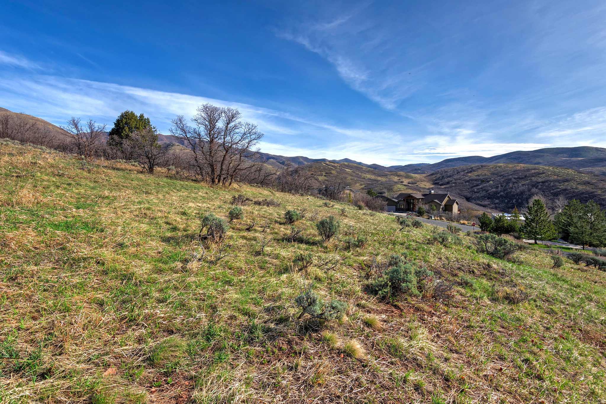 6219 E DONNER TRAIL CIR Unit: 156