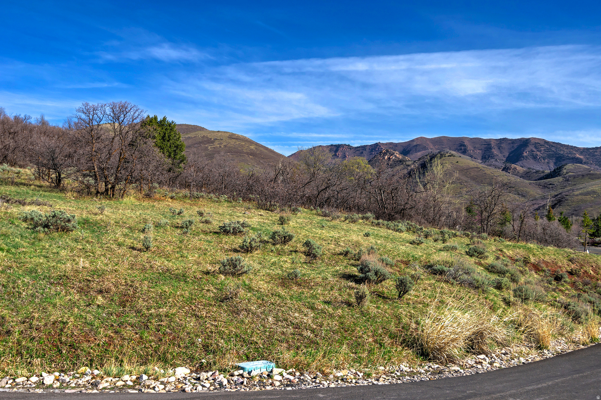 6219 E DONNER TRAIL CIR Unit: 156