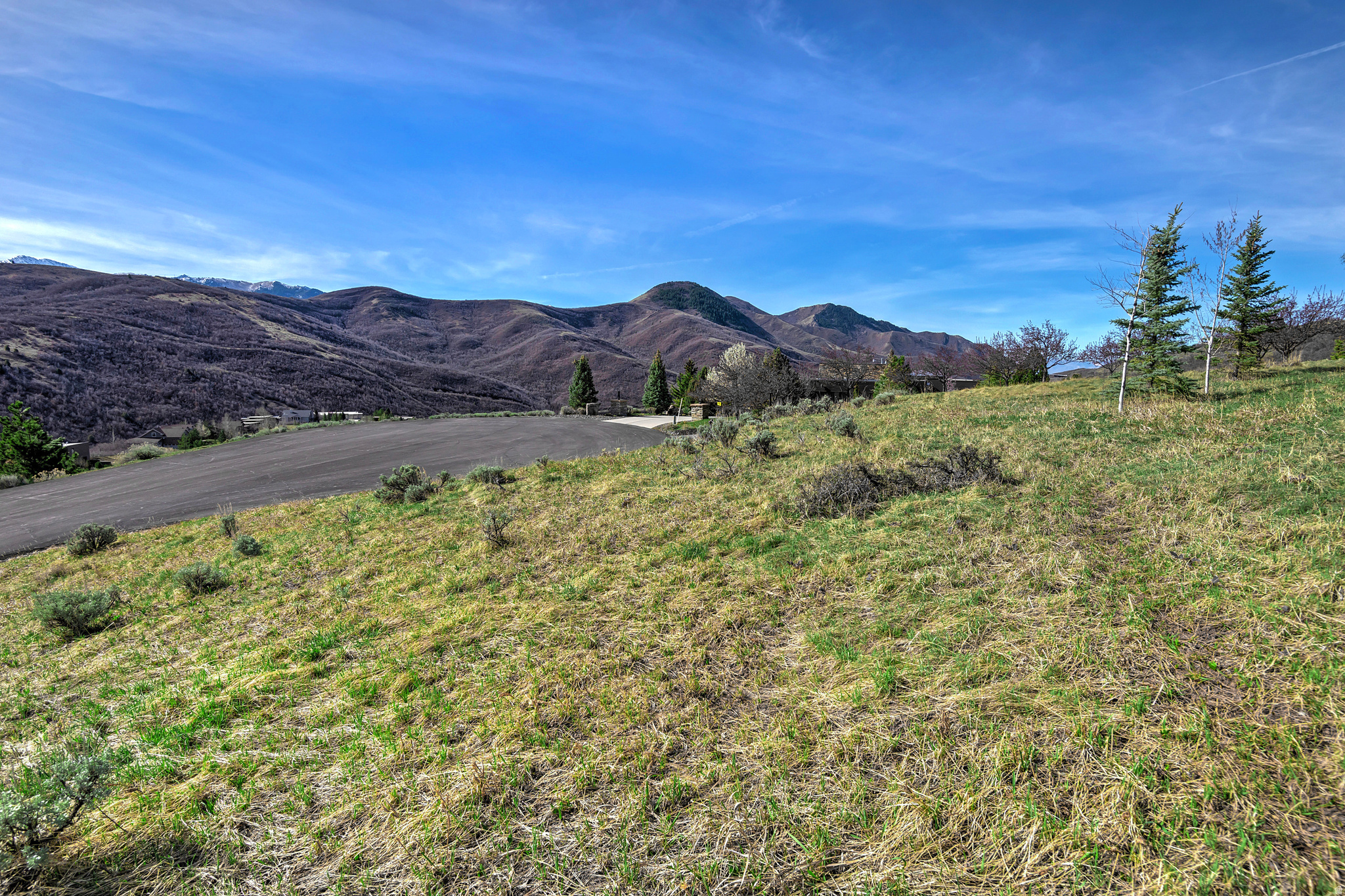 6219 E DONNER TRAIL CIR Unit: 156