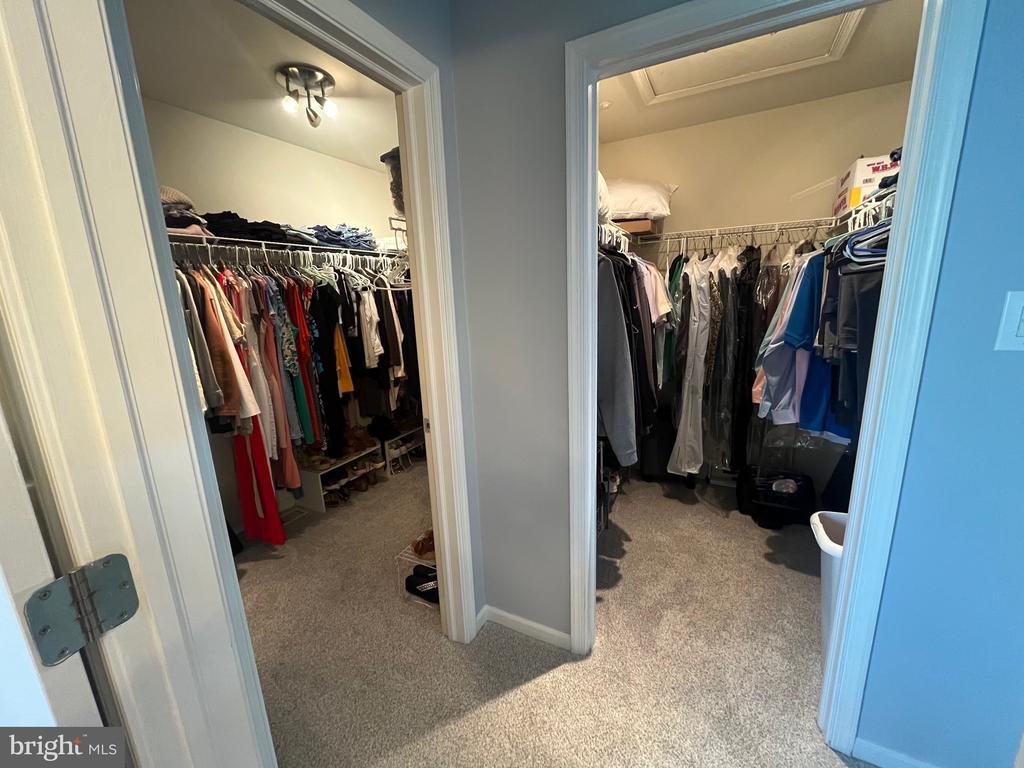 3584 GRAY FOX DRIVE