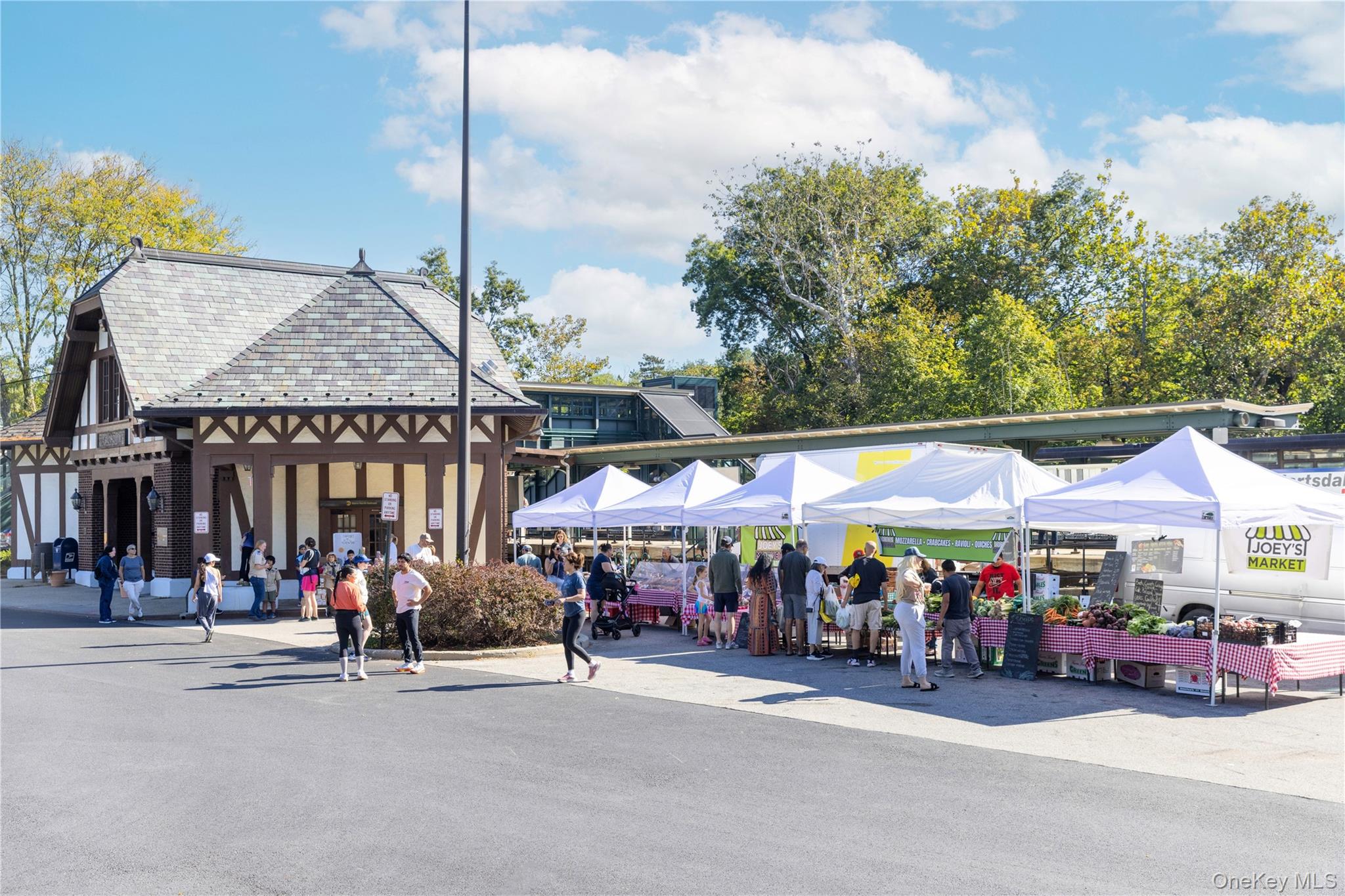 111 E Hartsdale Avenue Unit: 4G