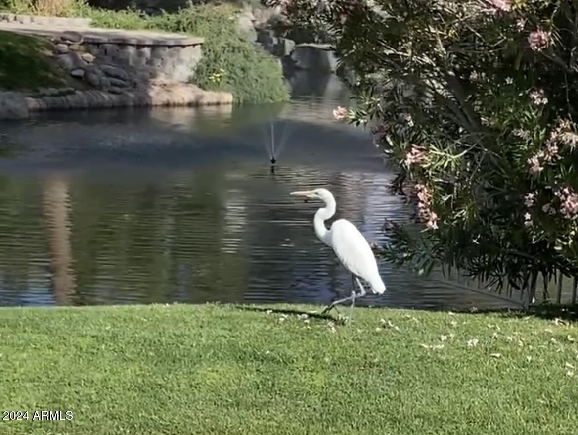 1333 W CLEAR SPRING Drive