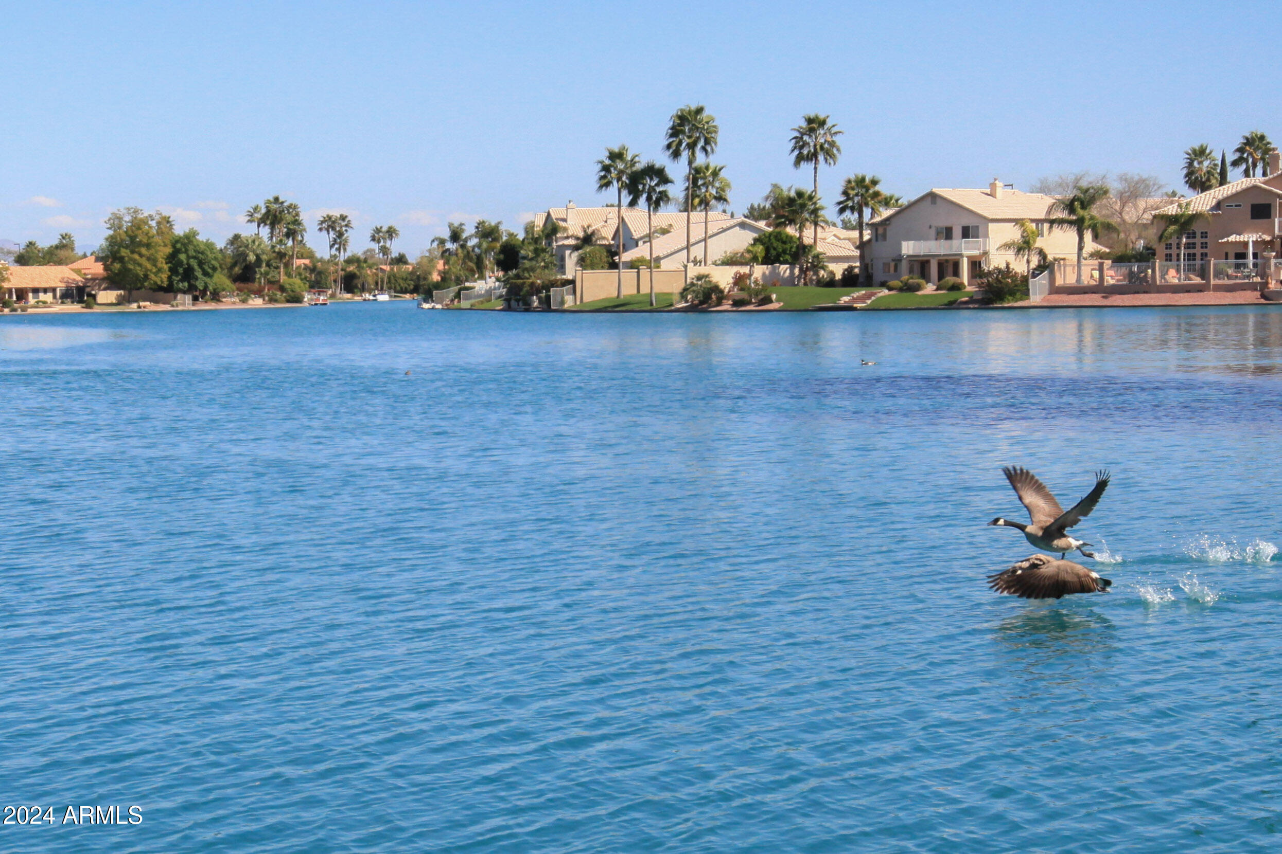 1333 W CLEAR SPRING Drive