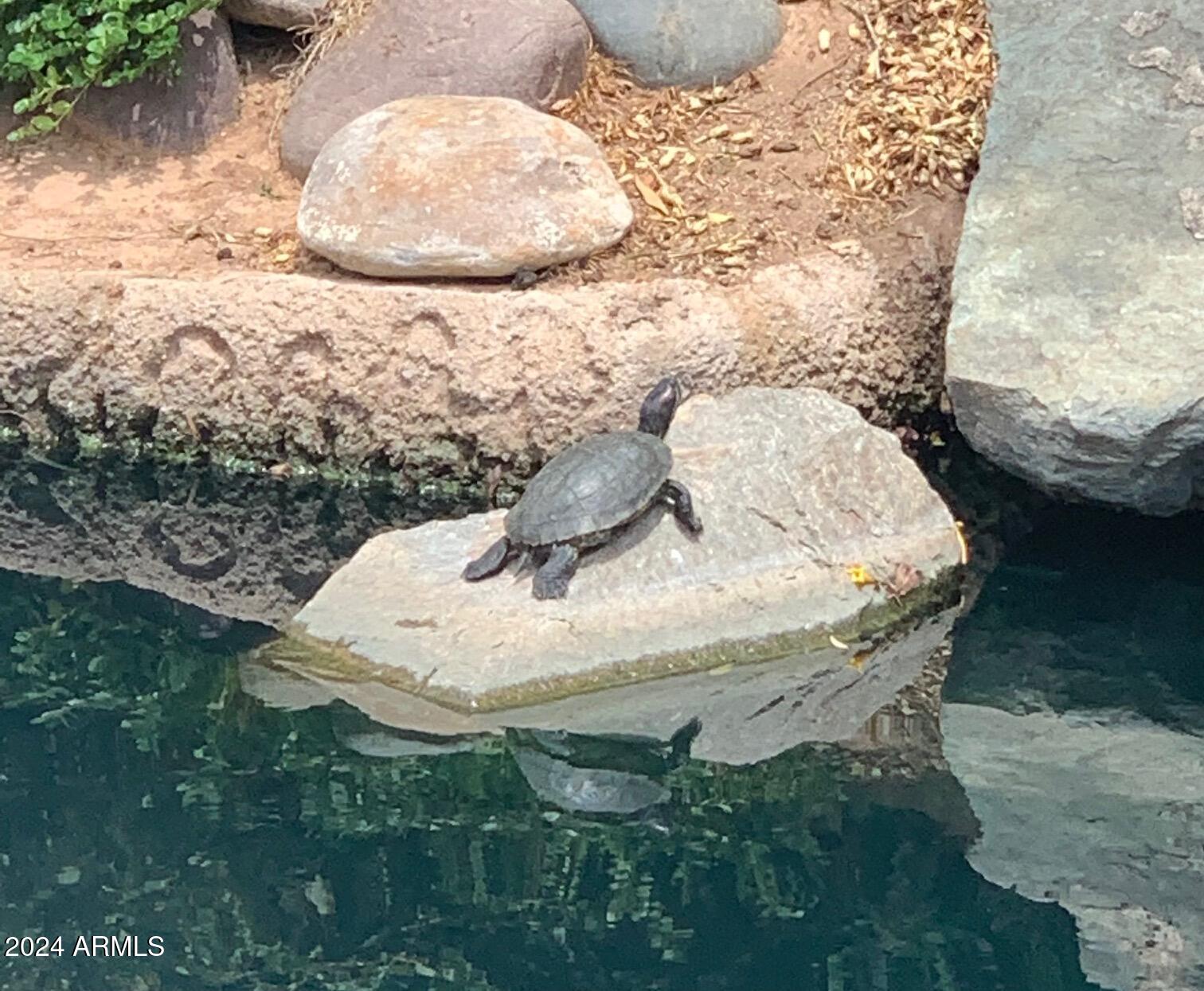 1333 W CLEAR SPRING Drive