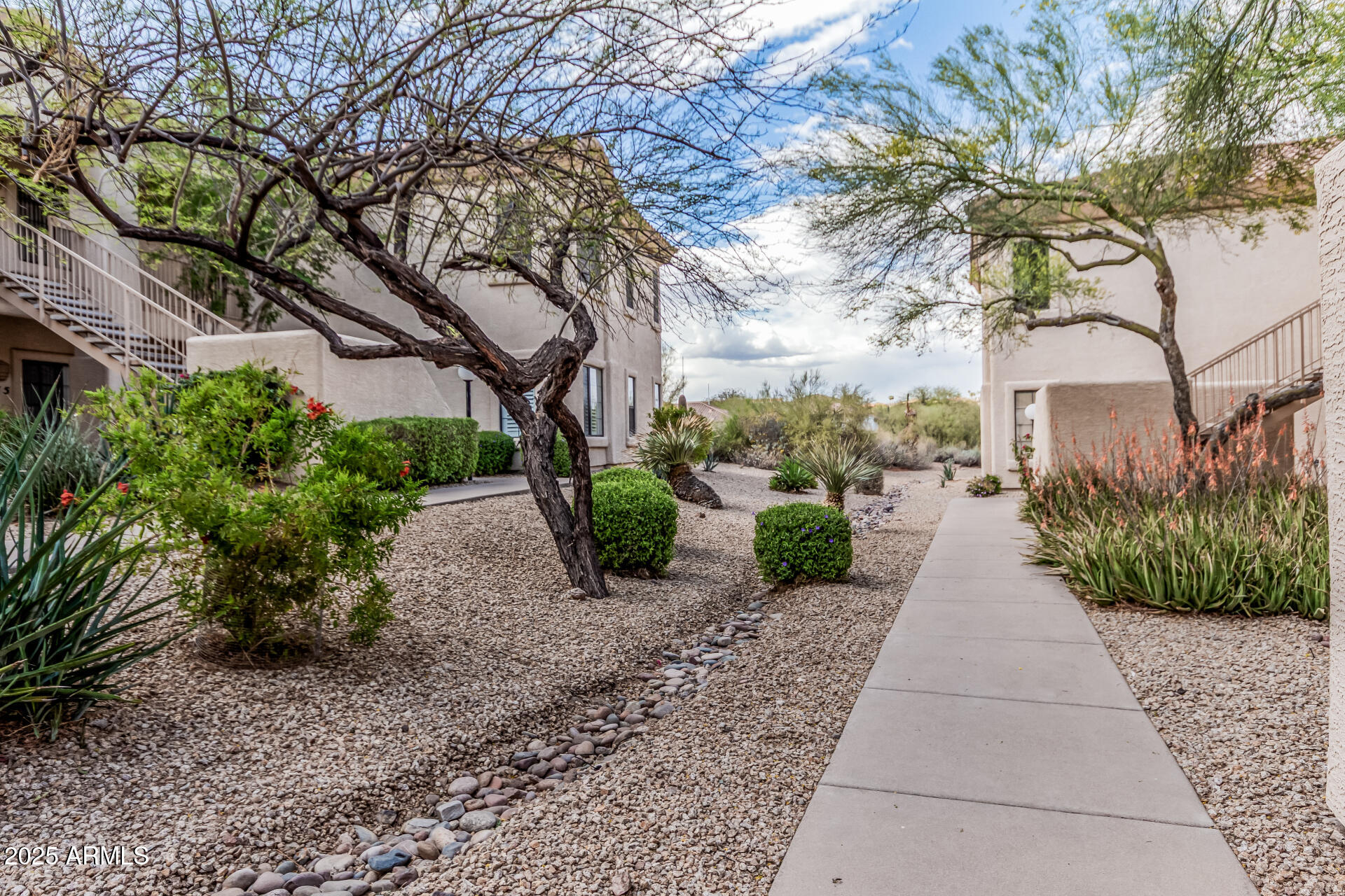 9253 N FIREBRICK Drive, 117