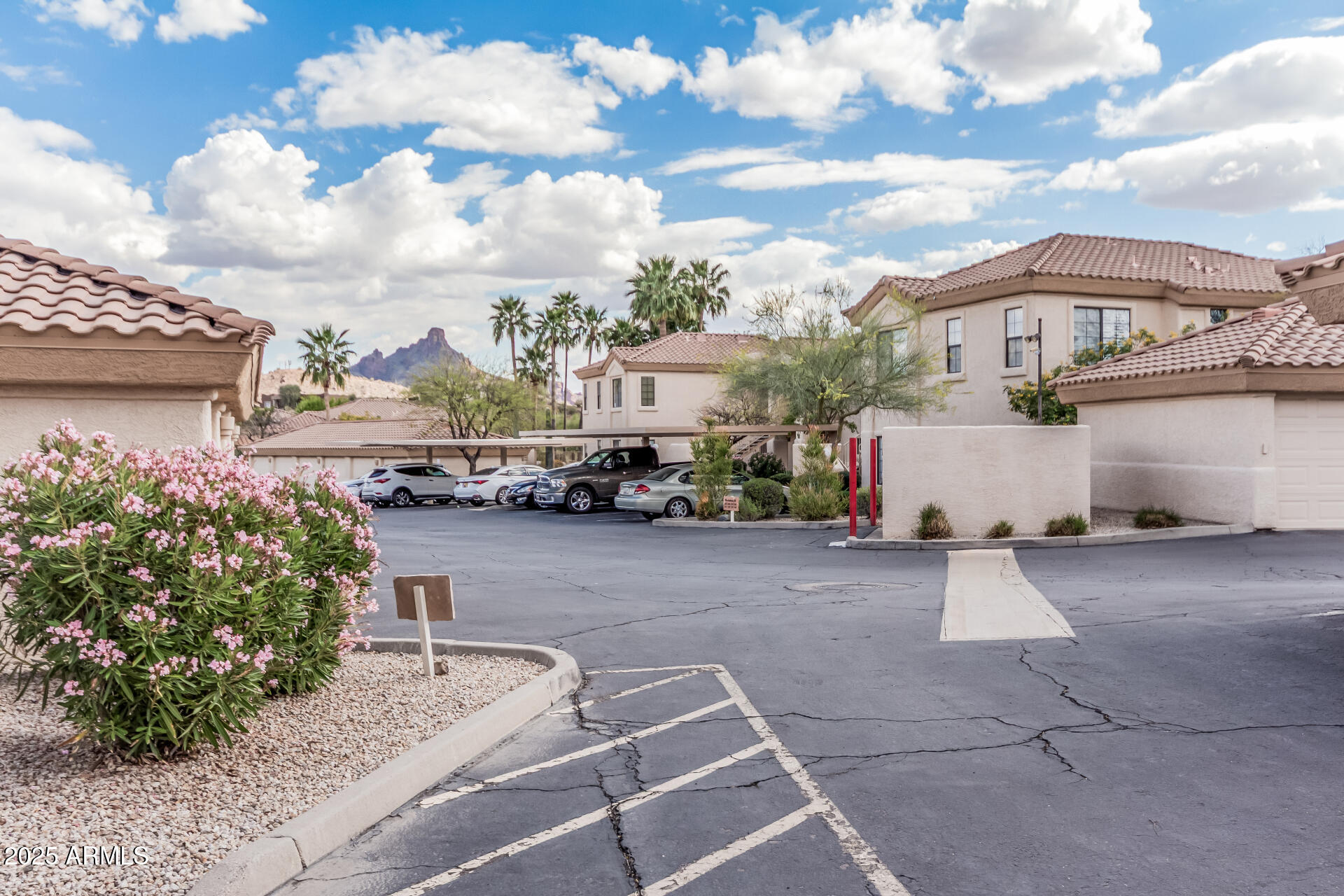 9253 N FIREBRICK Drive, 117