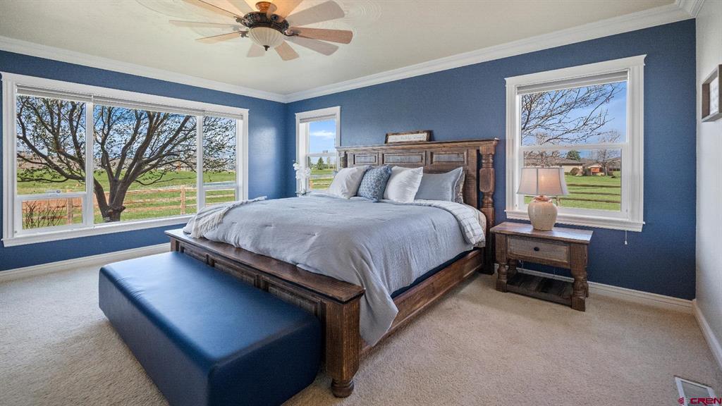 559 Cobble Drive