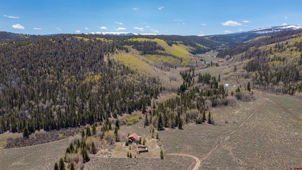 4771 Cardwell Draw Road