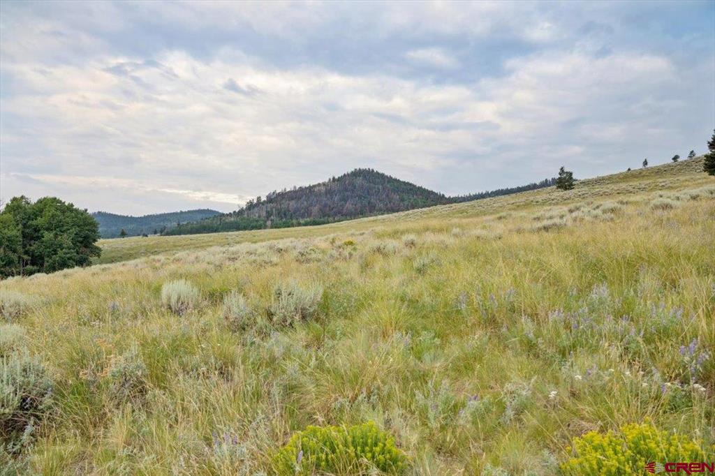 159 Uncompahgre Drive