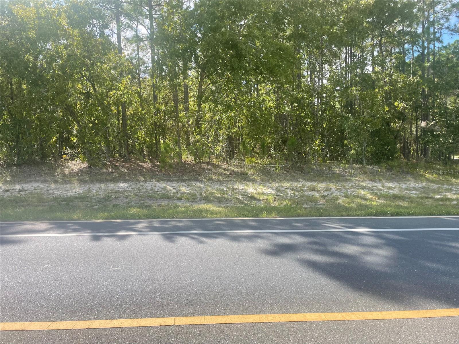 TBD SW MARION OAKS MNR