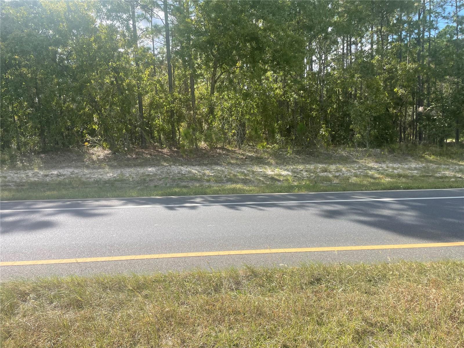 TBD SW MARION OAKS MNR