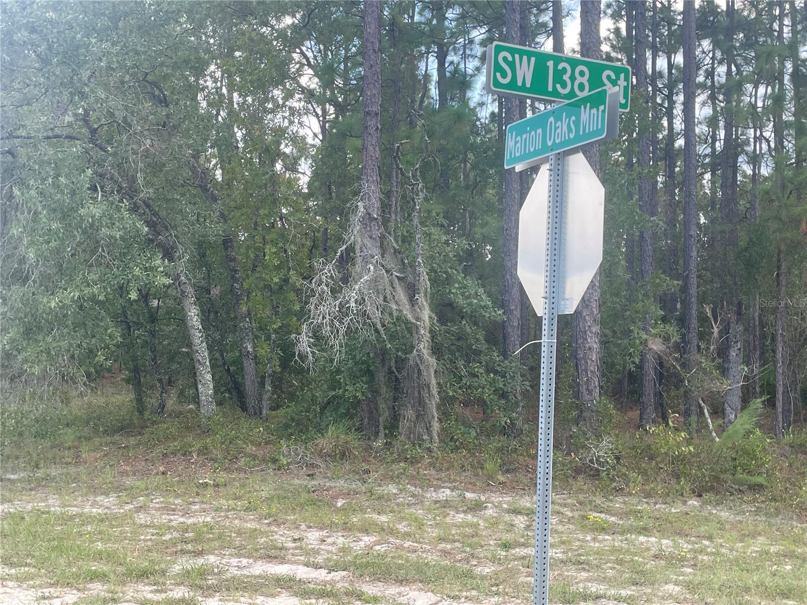 TBD SW MARION OAKS MNR