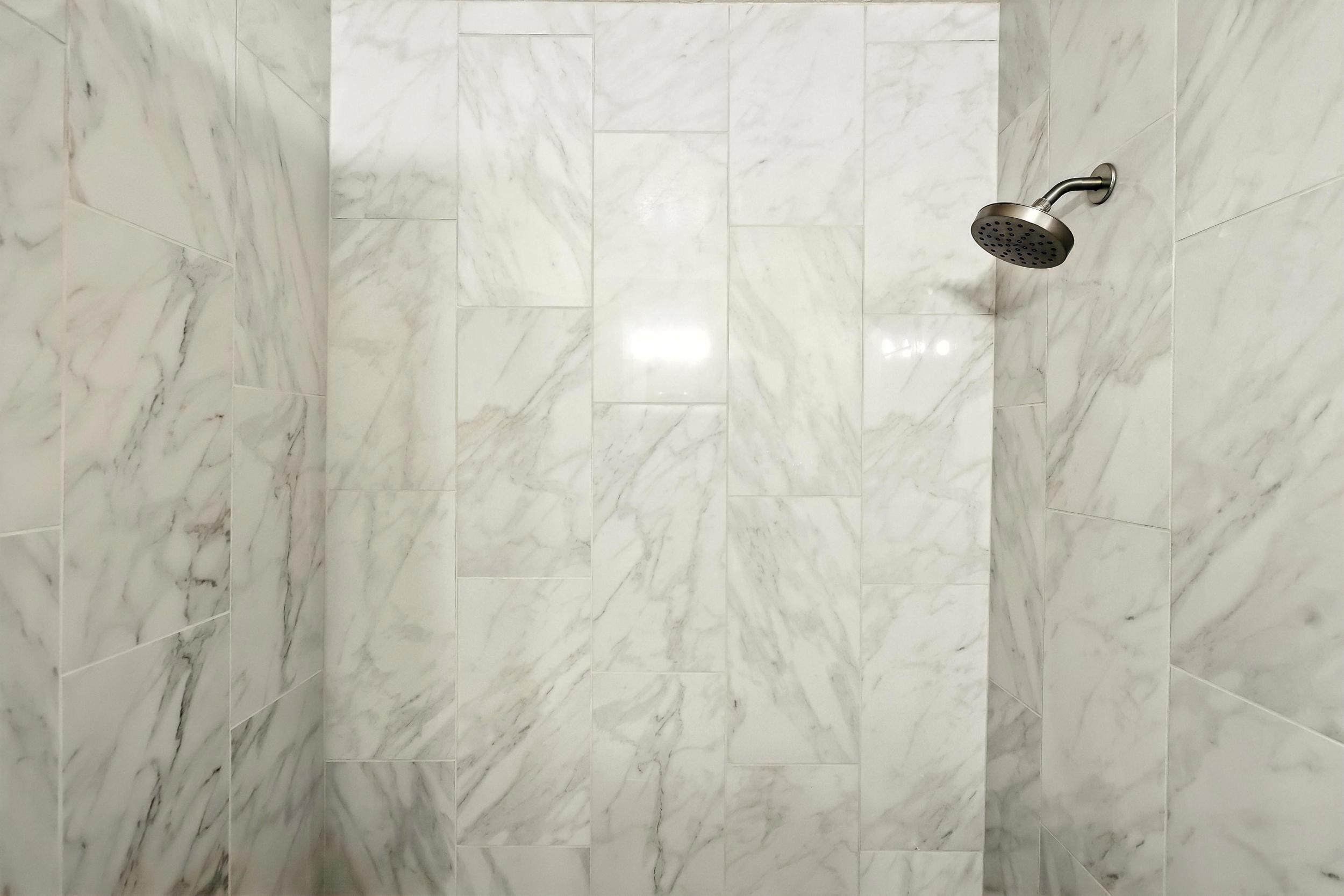 3013 SHELBY MEADOWS Drive