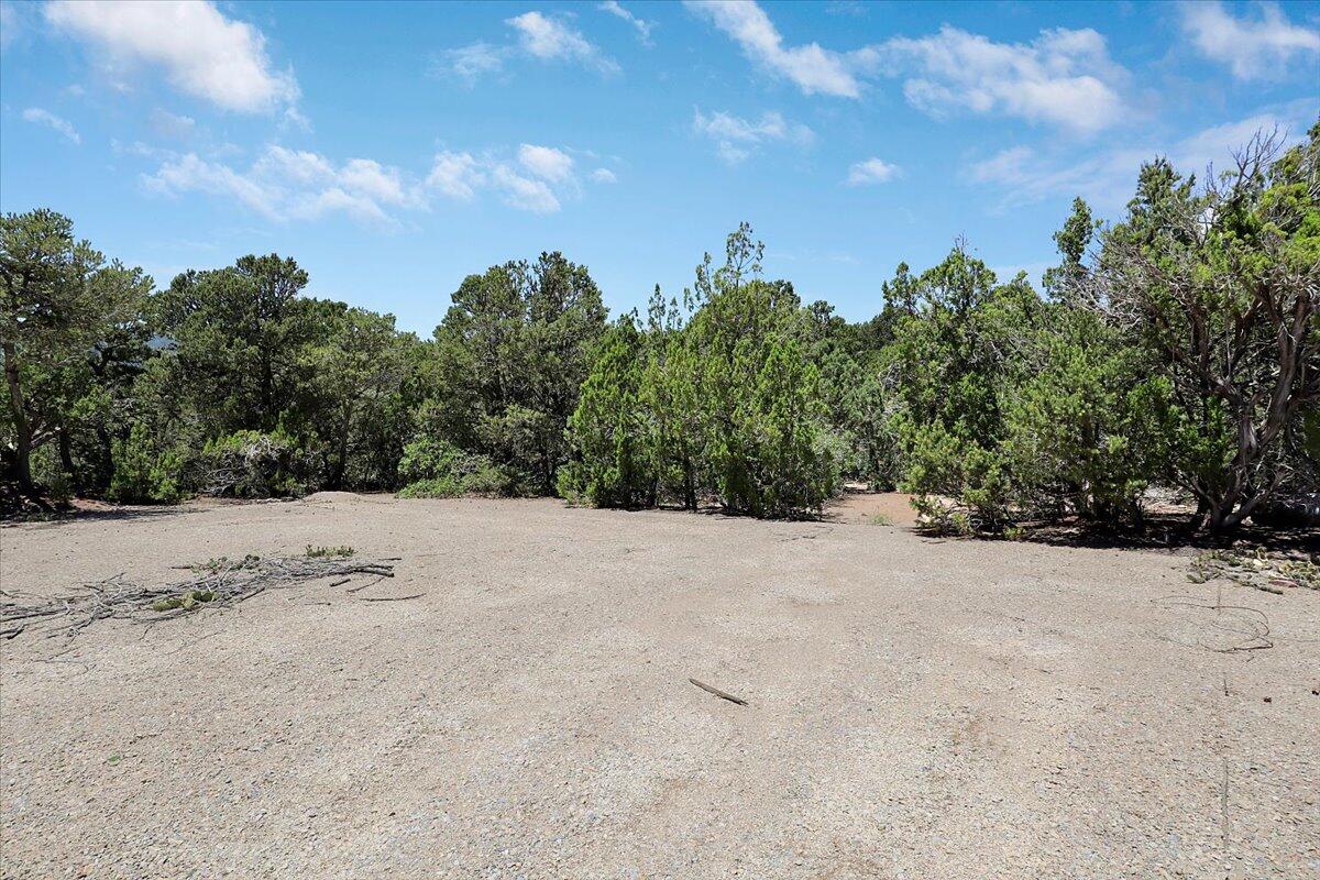 13 PINON Avenue