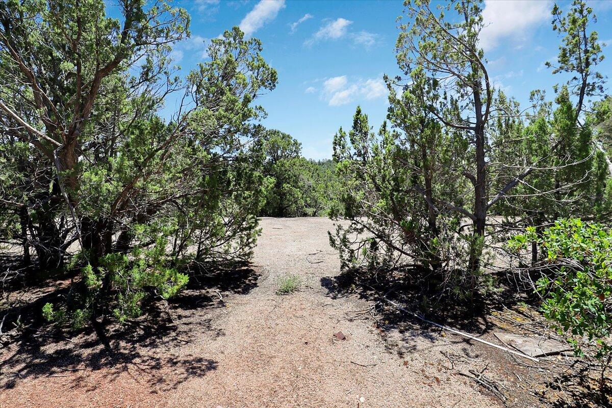 13 PINON Avenue