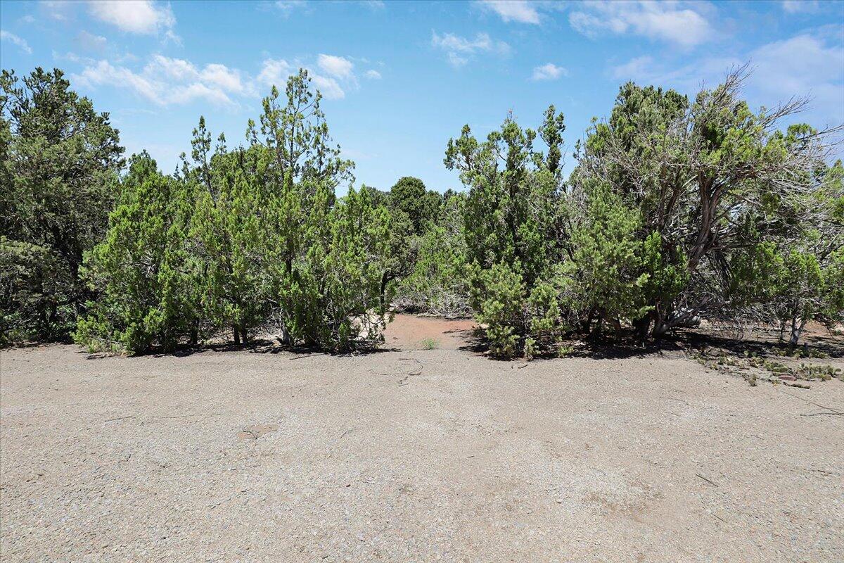 13 PINON Avenue