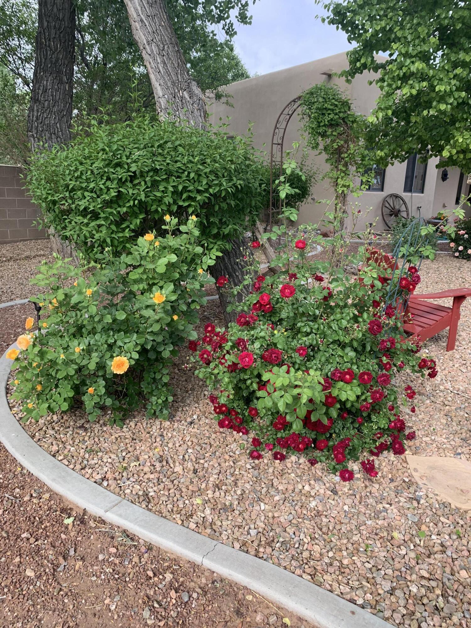 924 Camino Vista Rio