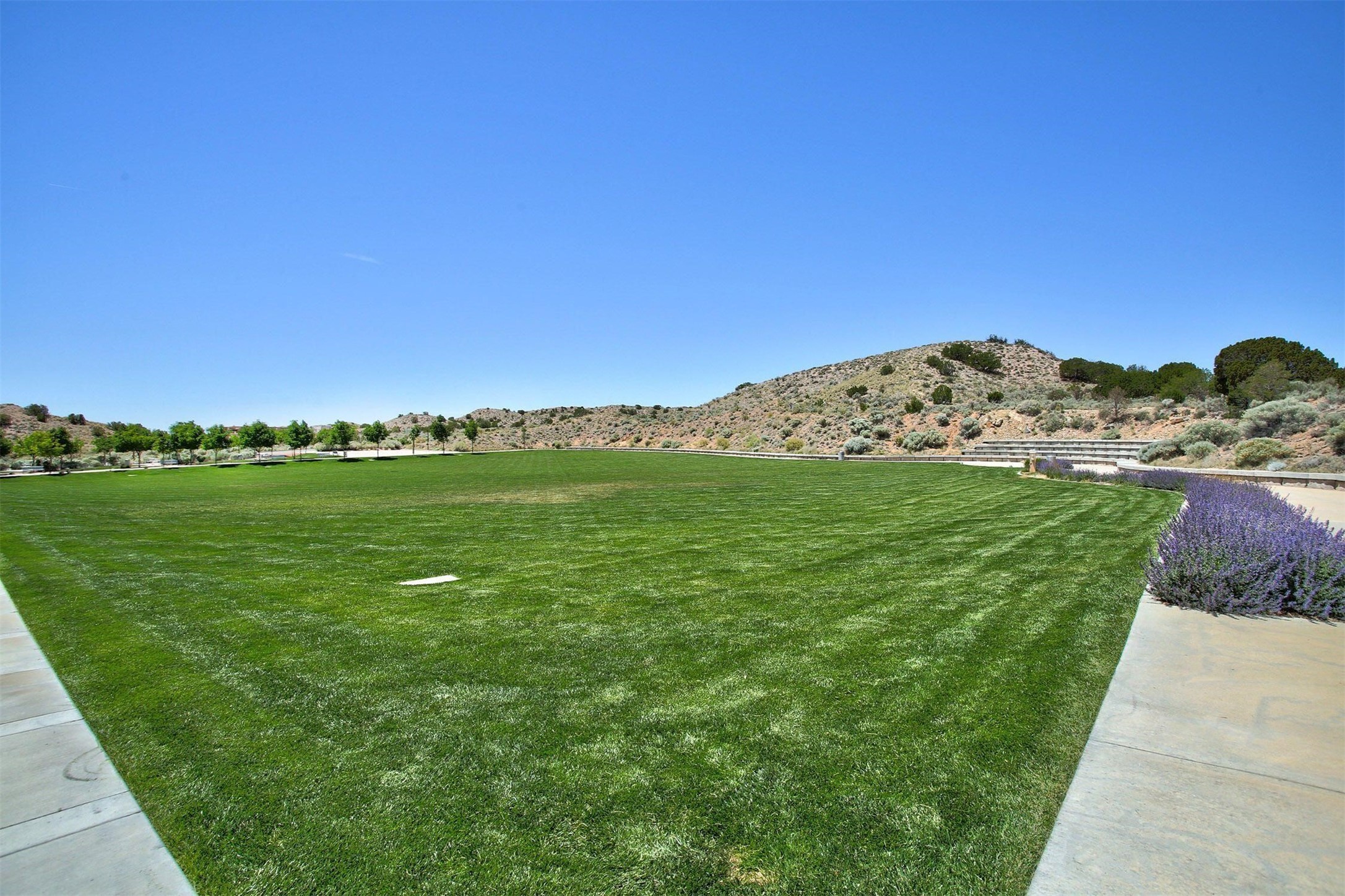 5611 Desert Sky