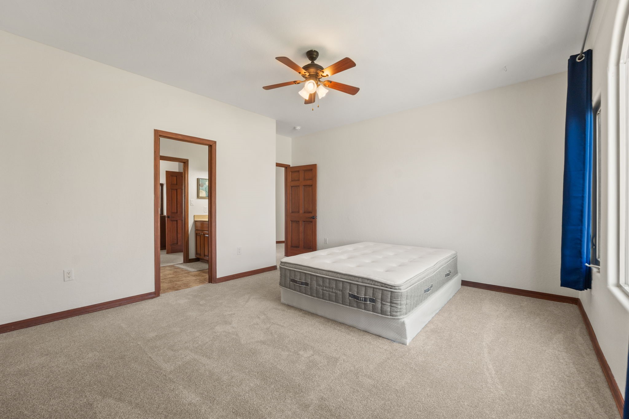 4629 Albany