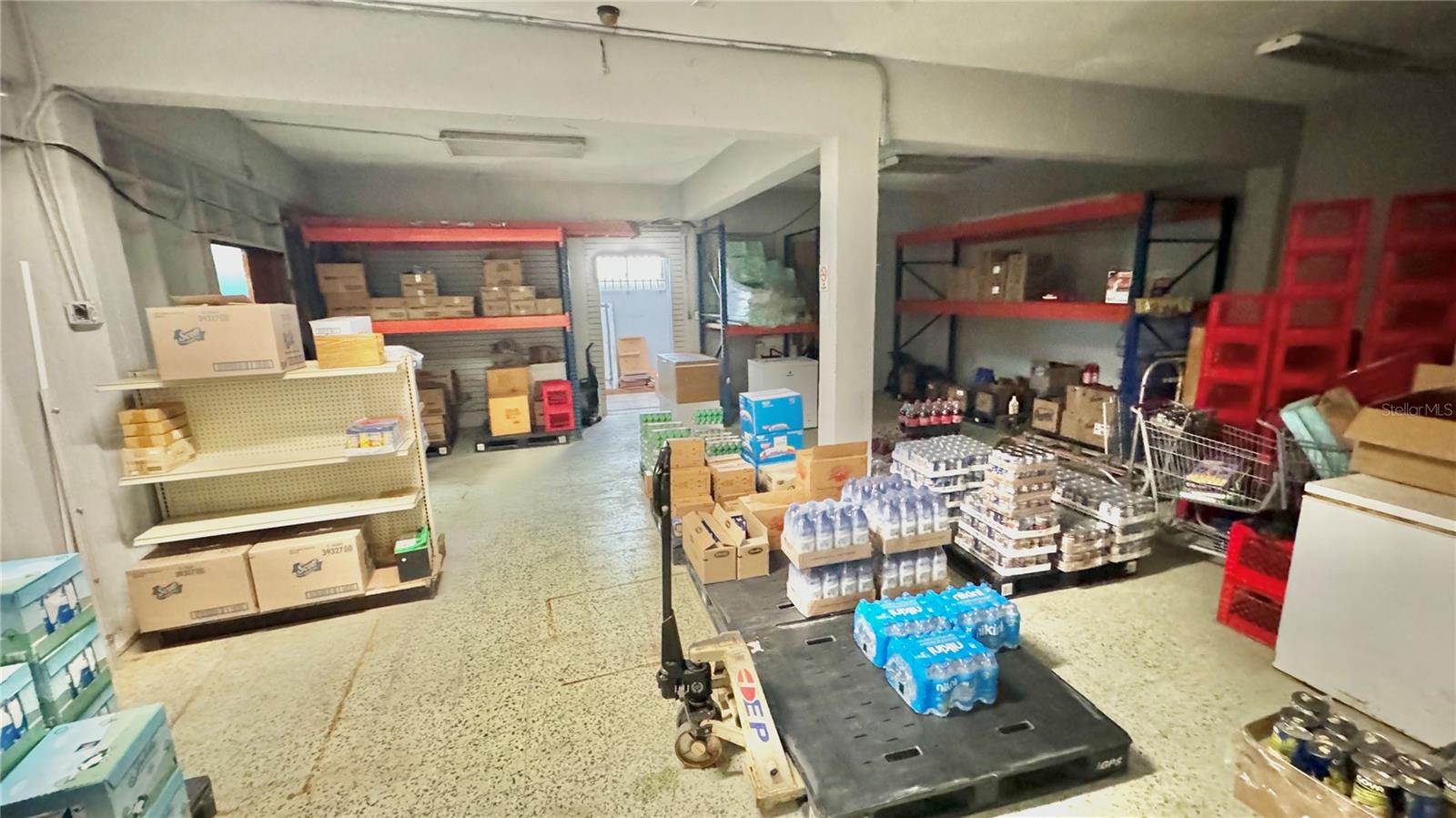 #10 GUILLERMO RIEFKOHL