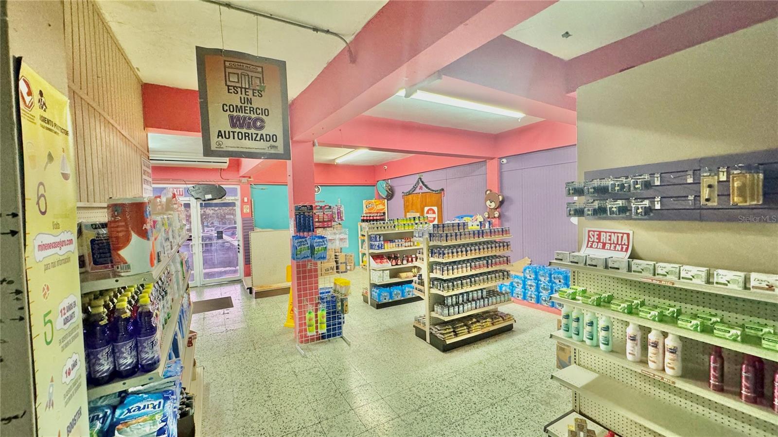 #10 GUILLERMO RIEFKOHL