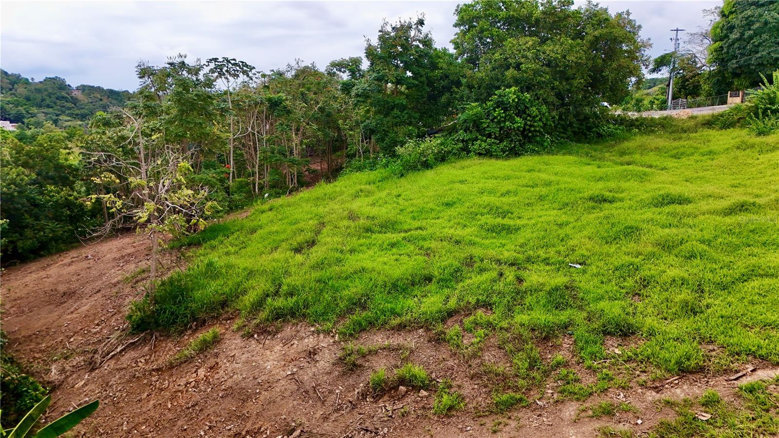 PR-165 Km 5.0 BO. QUEBRADA CRUZ