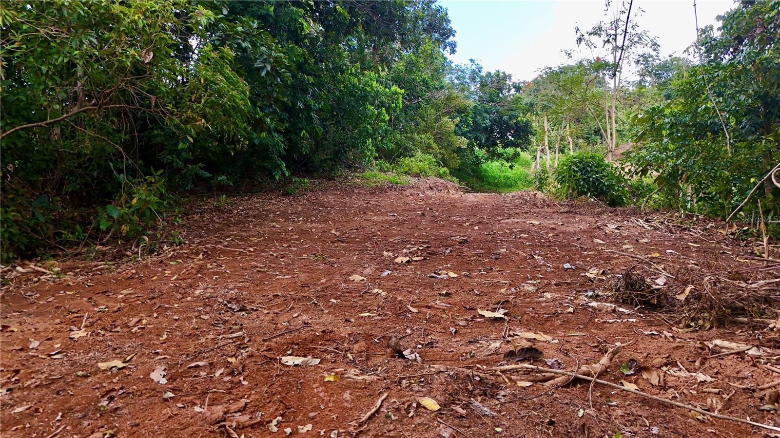 PR-165 Km 5.0 BO. QUEBRADA CRUZ