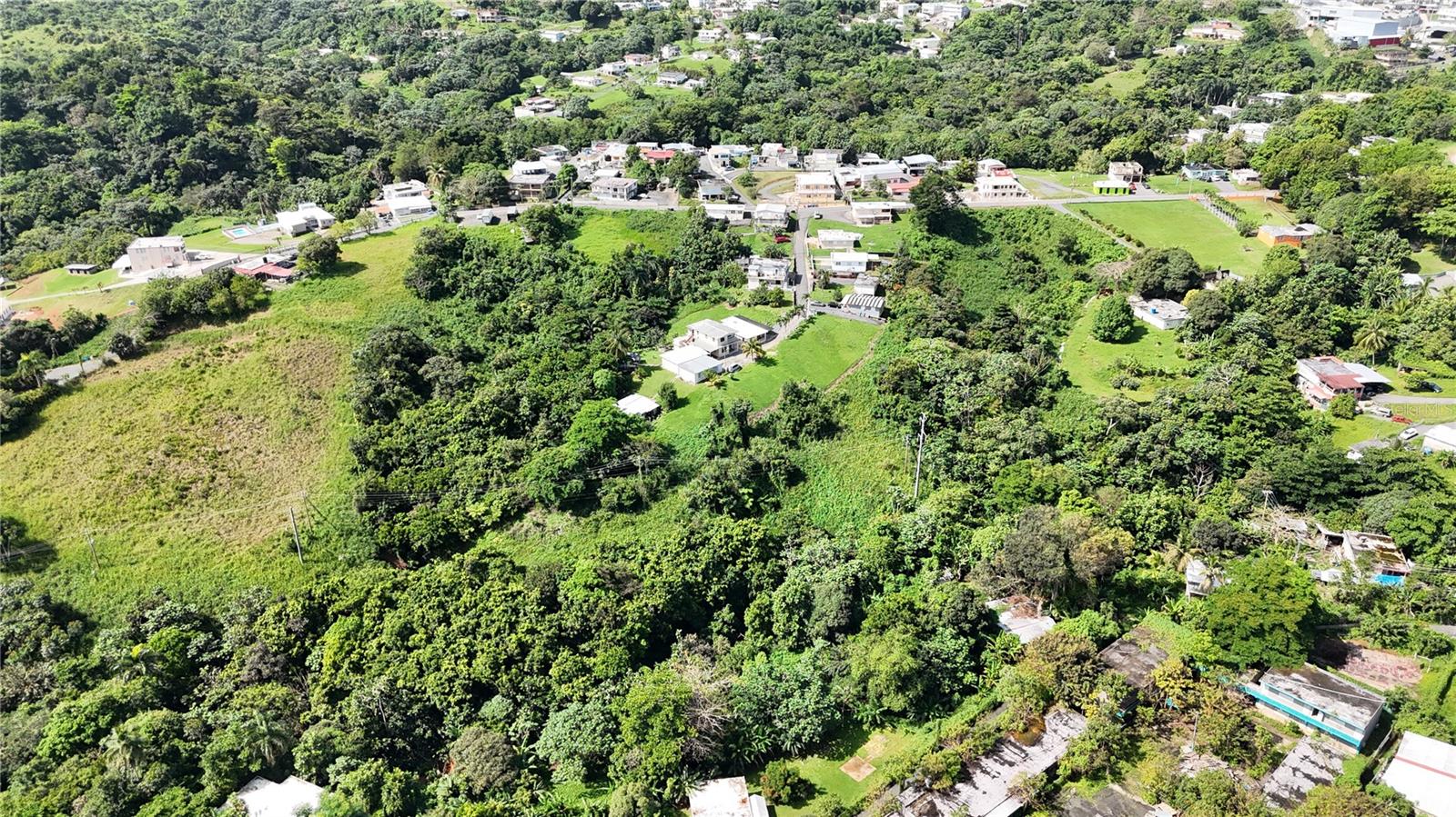 PR-165 Km 5.0 BO. QUEBRADA CRUZ