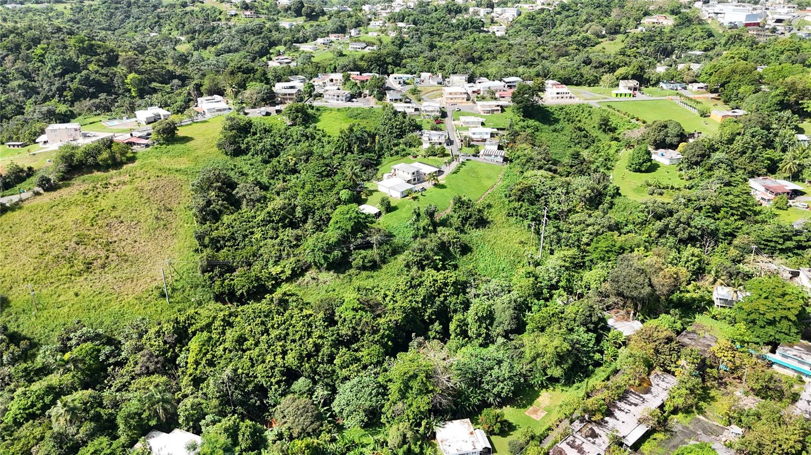 PR-165 Km 5.0 BO. QUEBRADA CRUZ