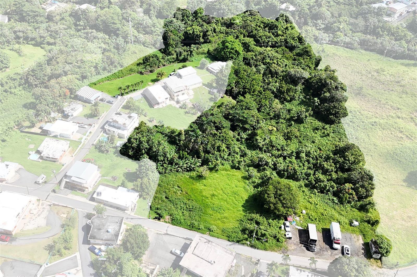 PR-165 Km 5.0 BO. QUEBRADA CRUZ