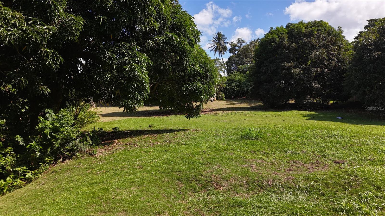 PR-876 KM 0.7 BO LAS CUEVAS