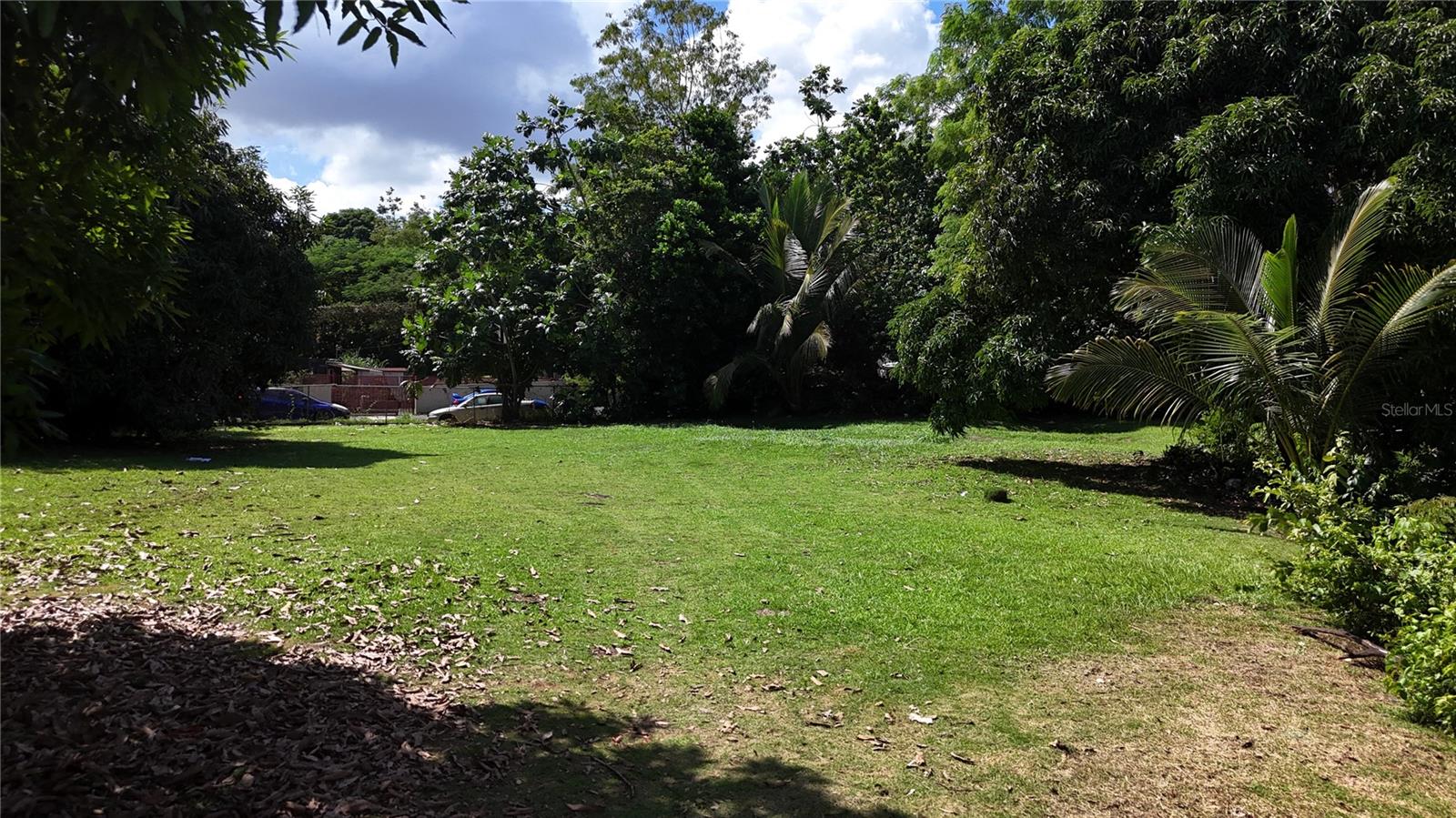 PR-876 KM 0.7 BO LAS CUEVAS