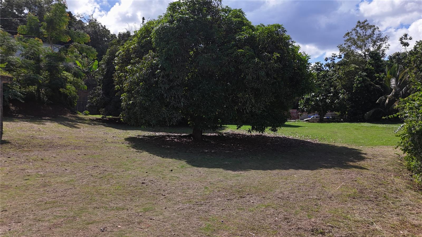 PR-876 KM 0.7 BO LAS CUEVAS