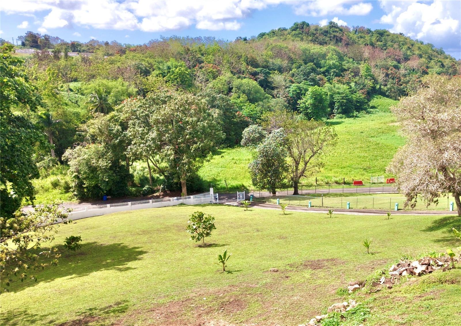 PR-858 KM 2.1 BO. CACAO