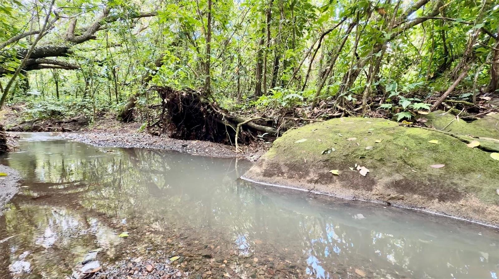 PR-858 KM 2.1 BO. CACAO