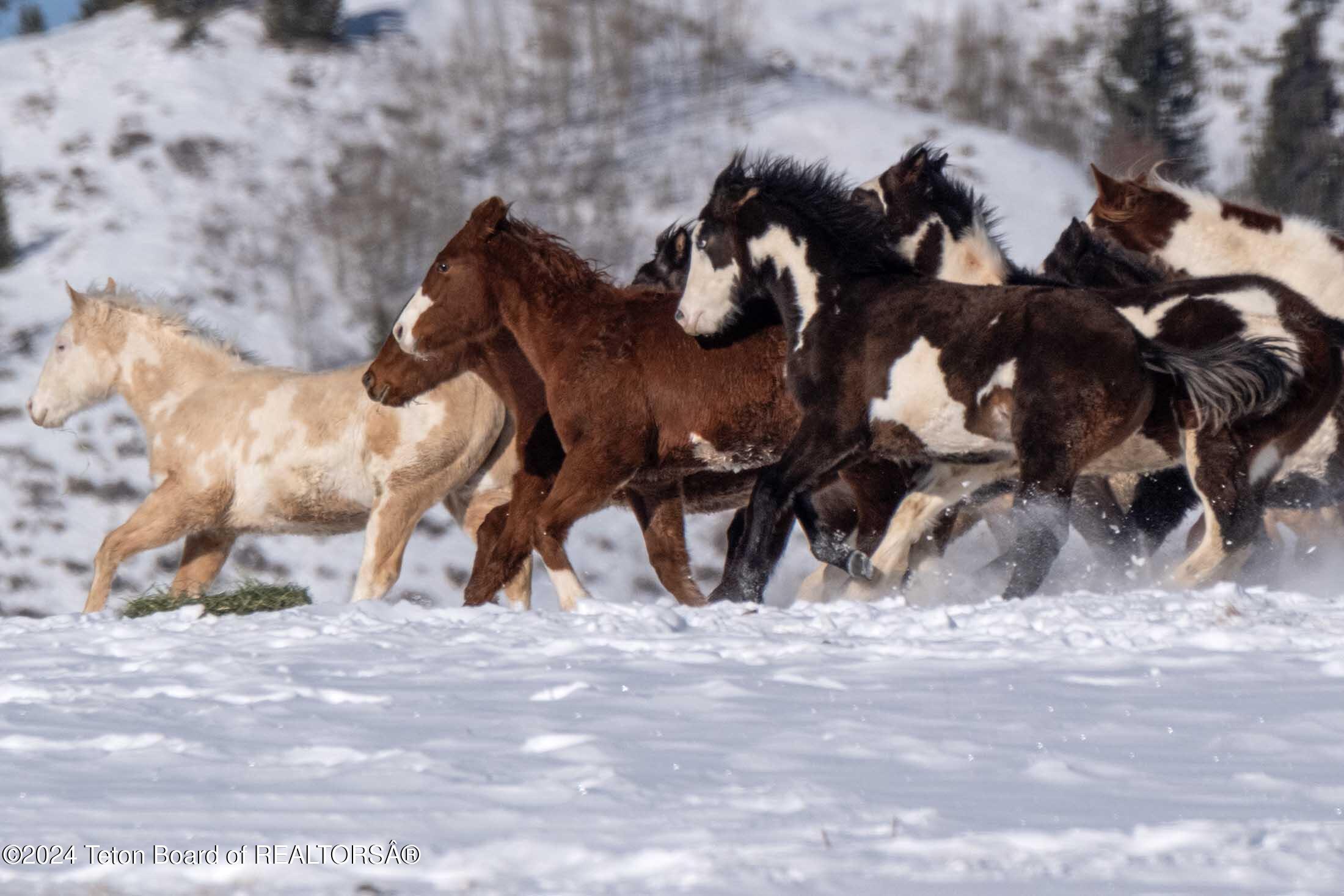 15400 GROS VENTRE Road