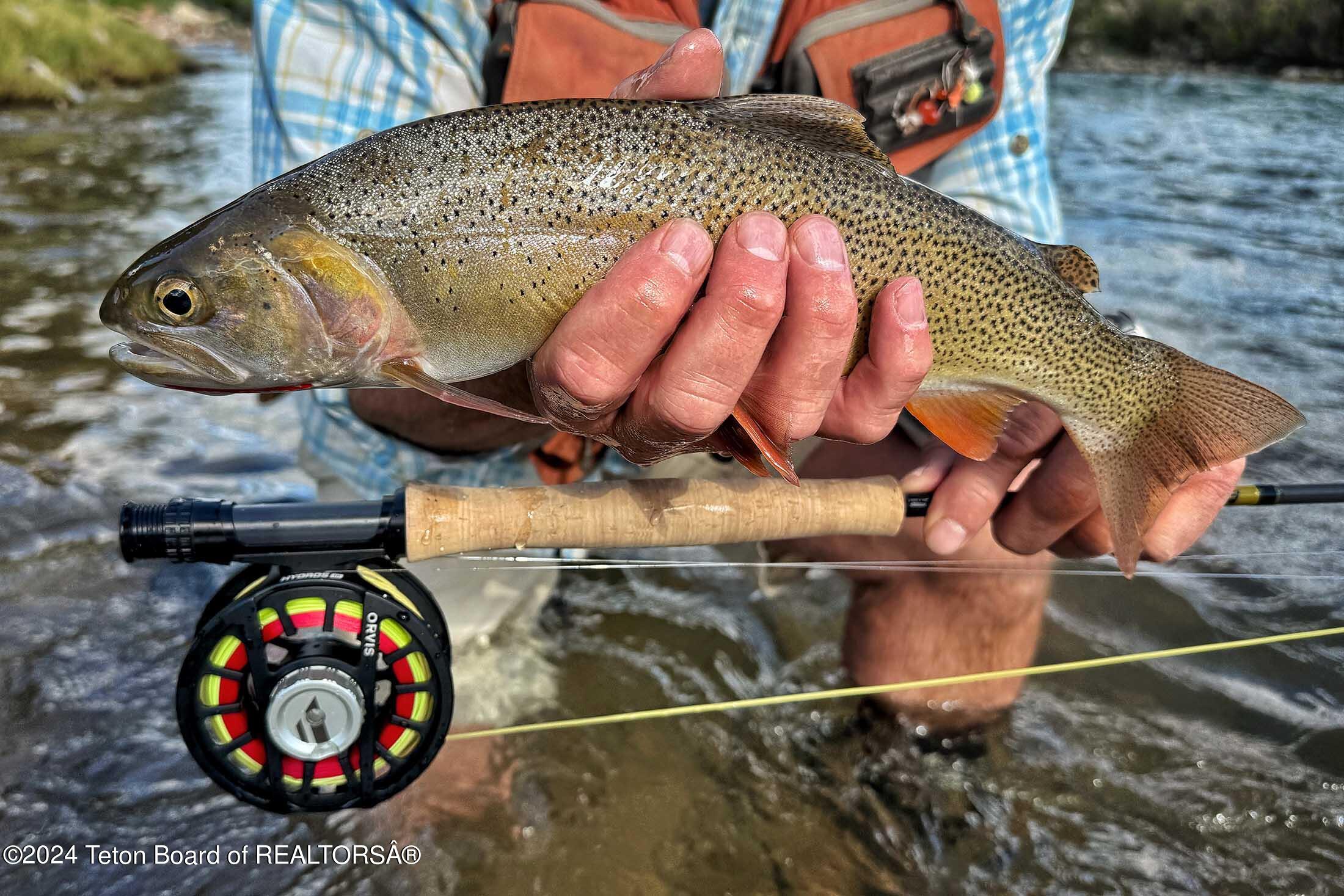 15400 GROS VENTRE Road