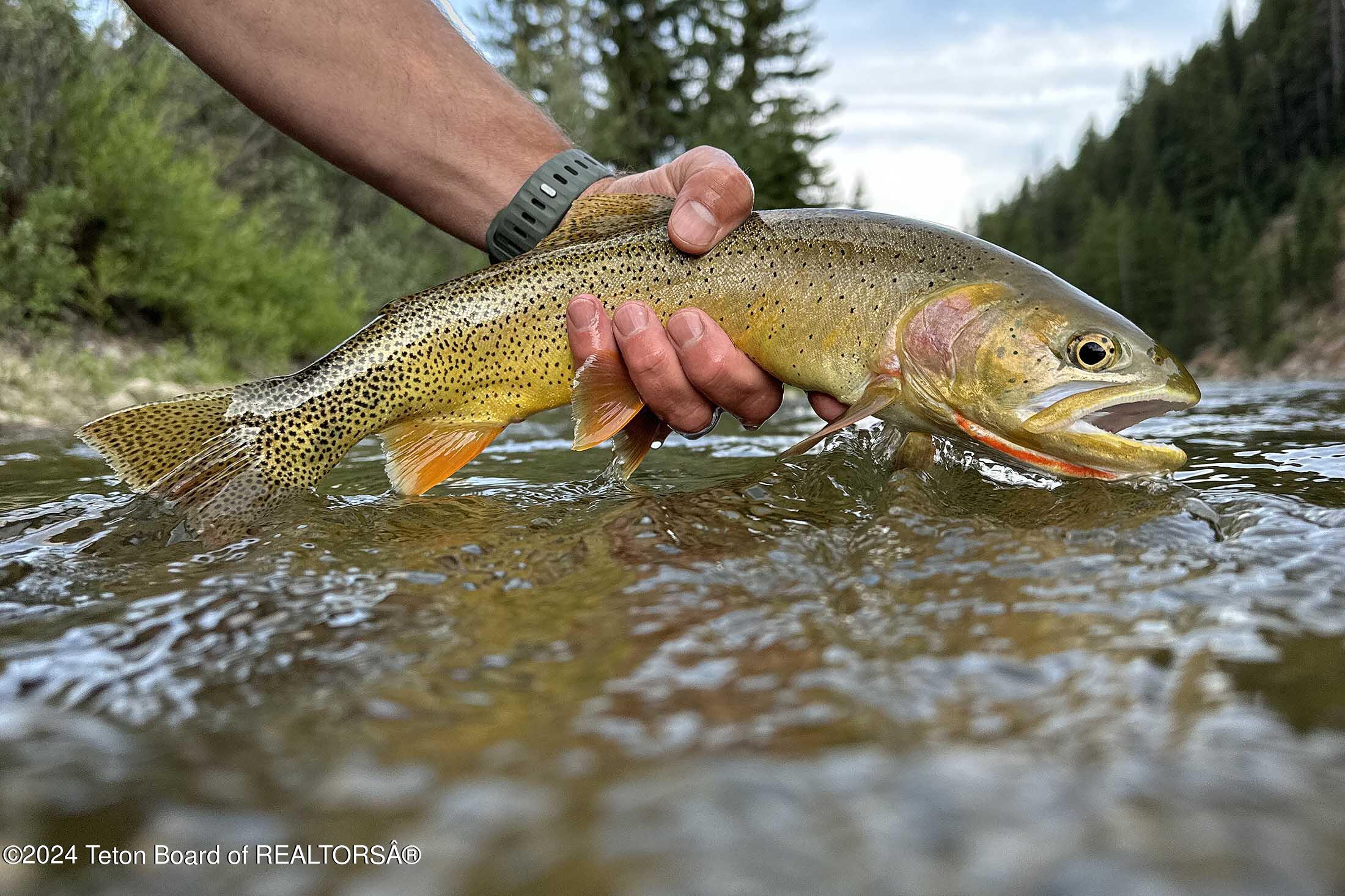 15400 GROS VENTRE Road