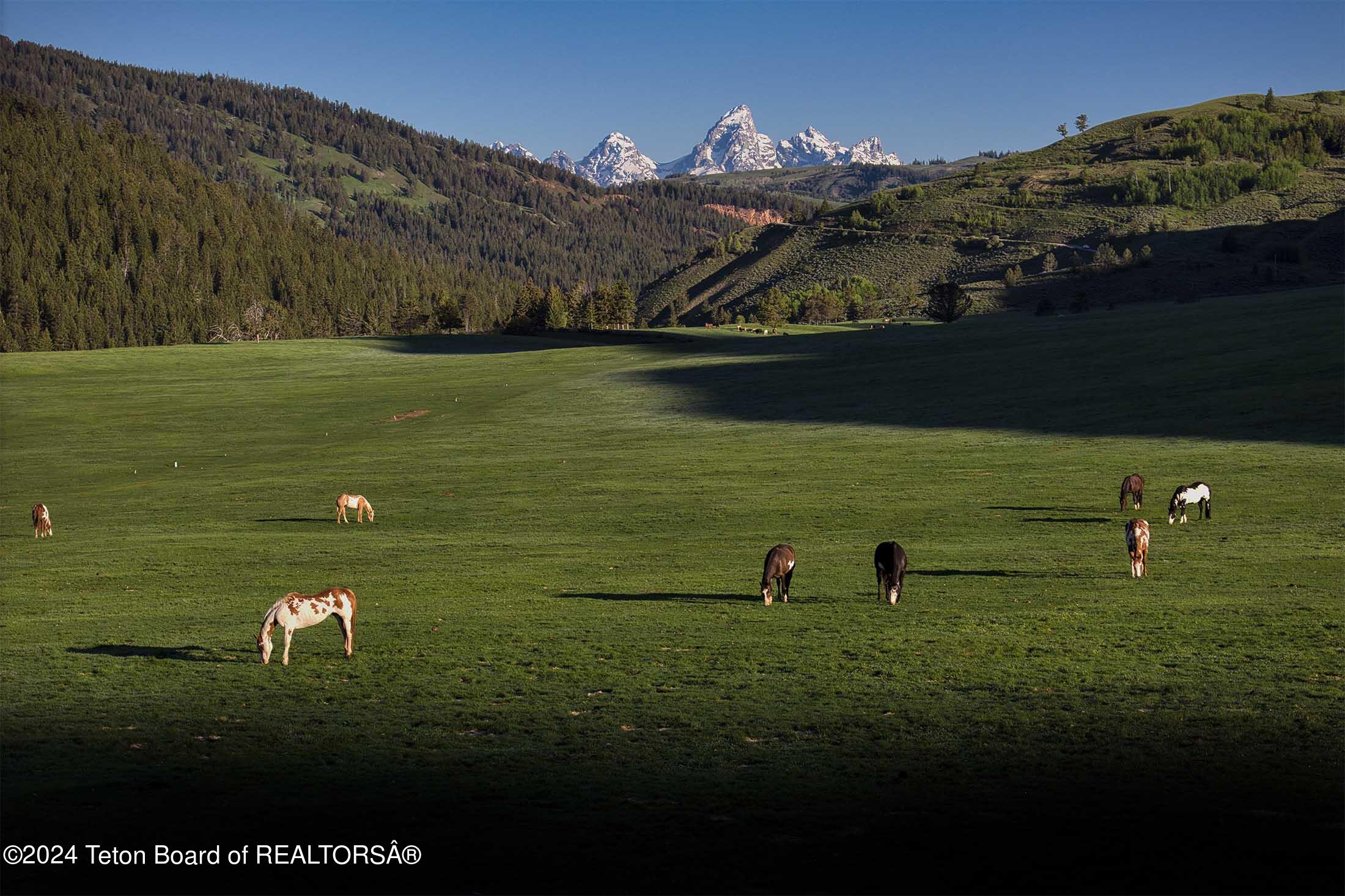 15400 GROS VENTRE Road