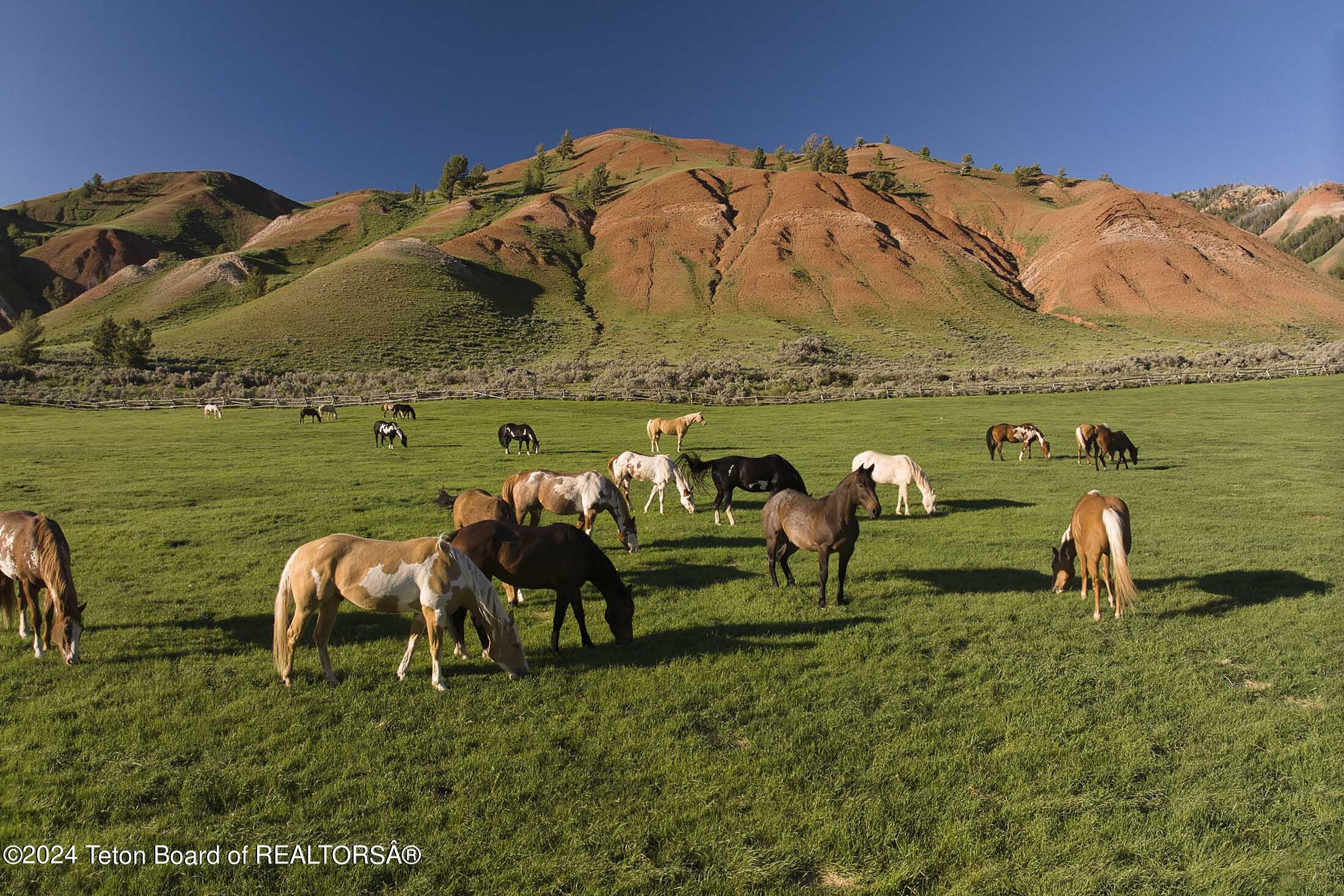 15400 GROS VENTRE Road