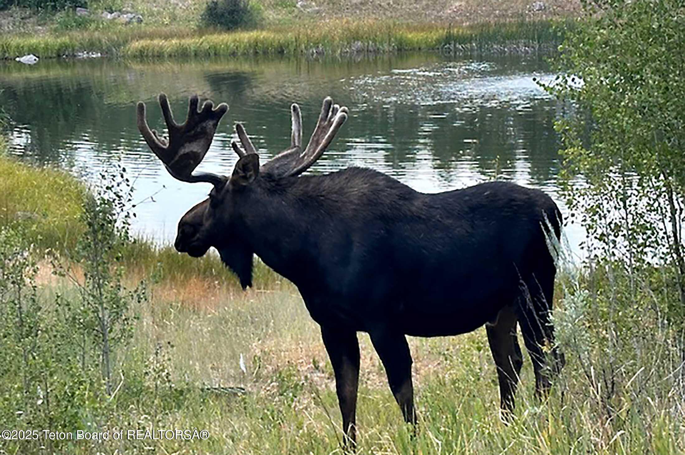 3000 N RIVA RIDGE Road