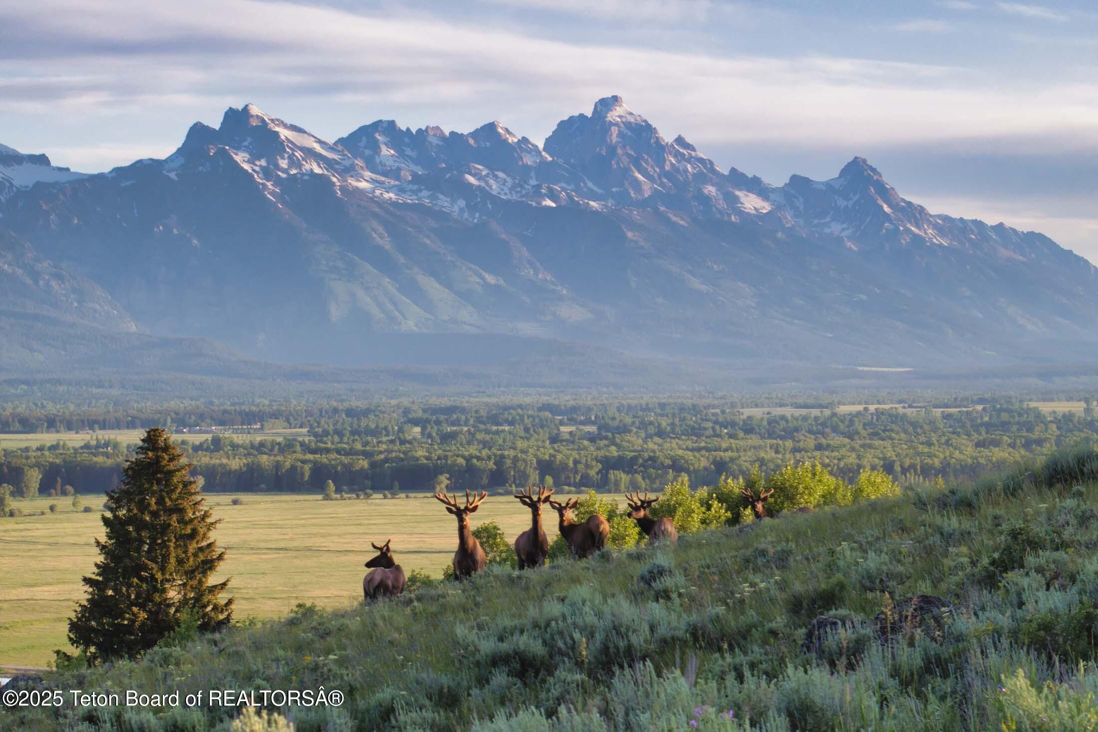 3000 N RIVA RIDGE Road