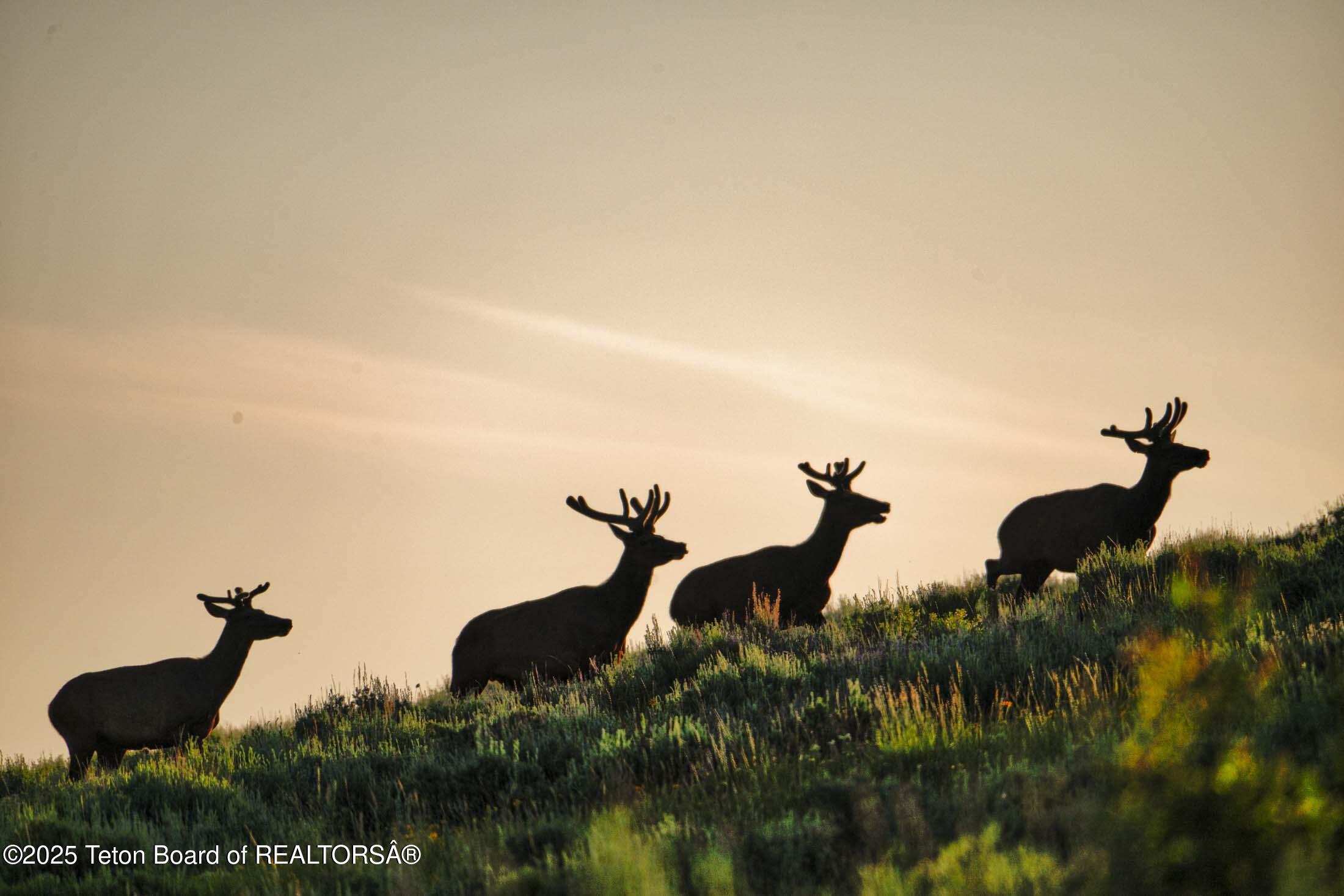 3000 N RIVA RIDGE Road