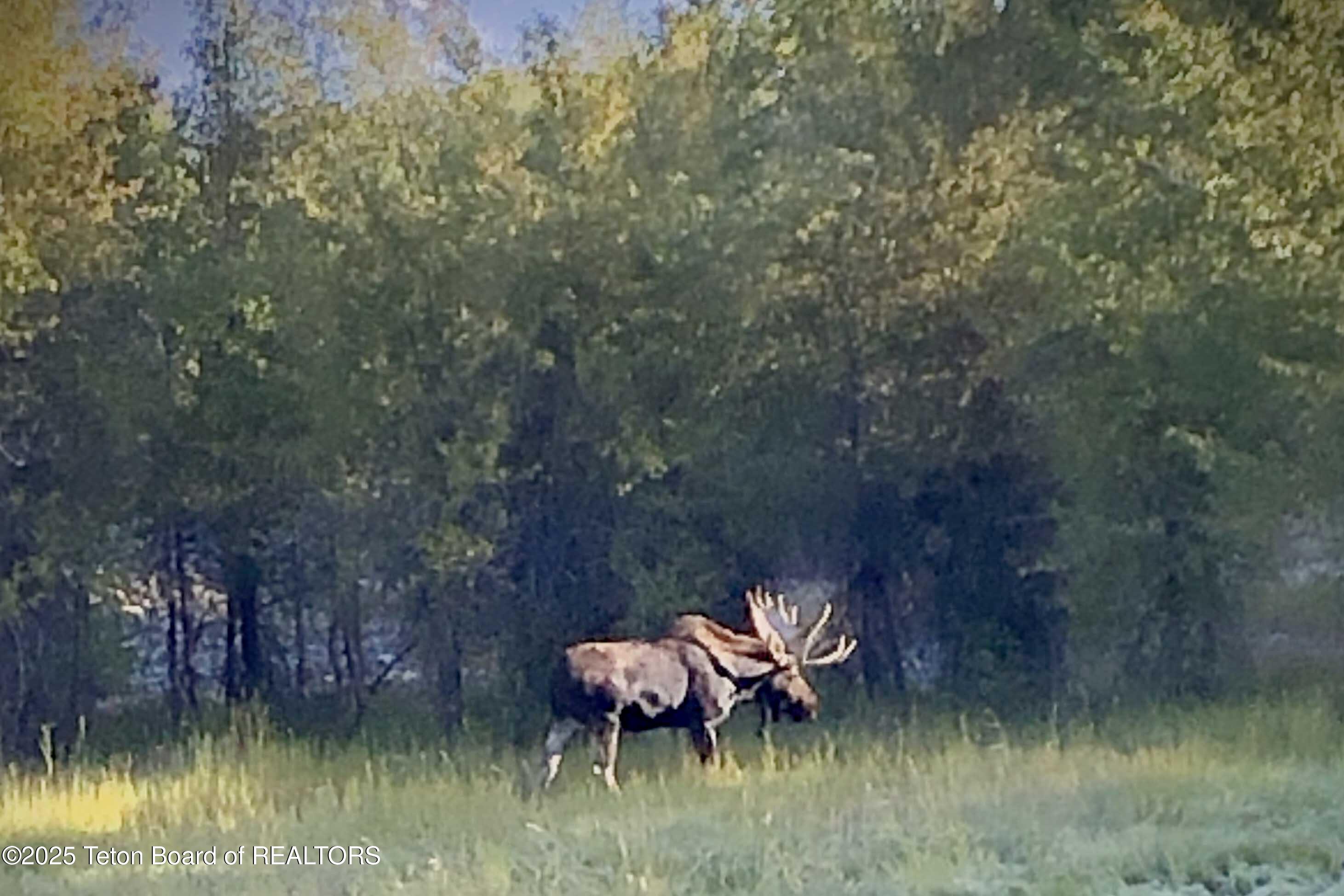 55 S ELY SPRINGS Road