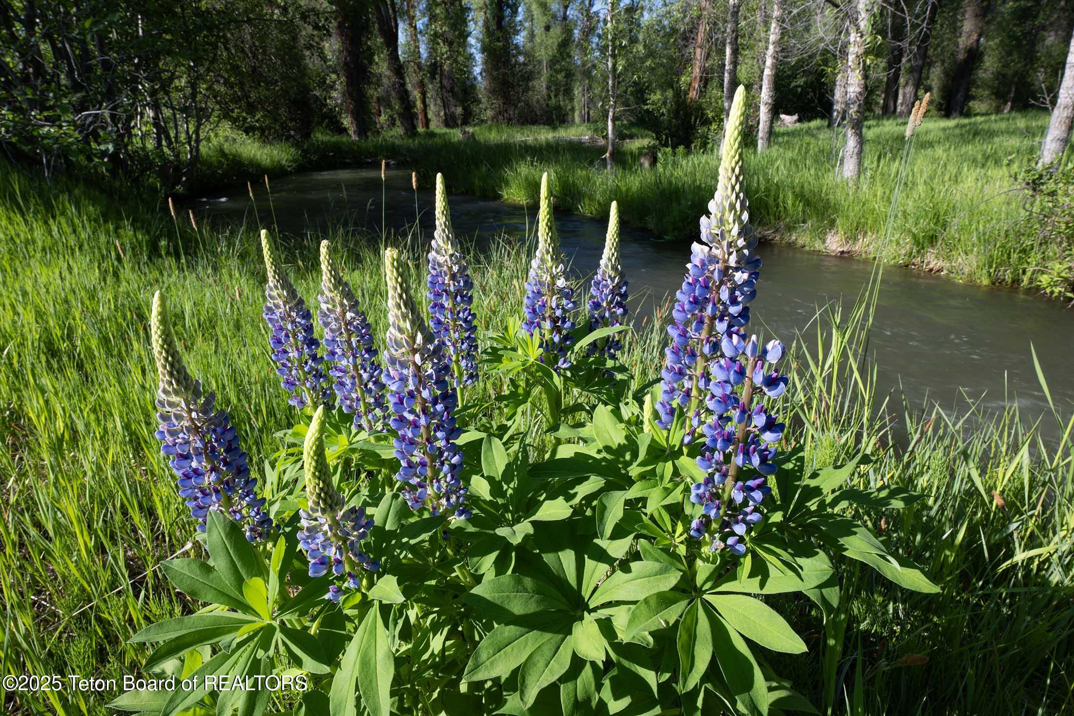 55 S ELY SPRINGS Road