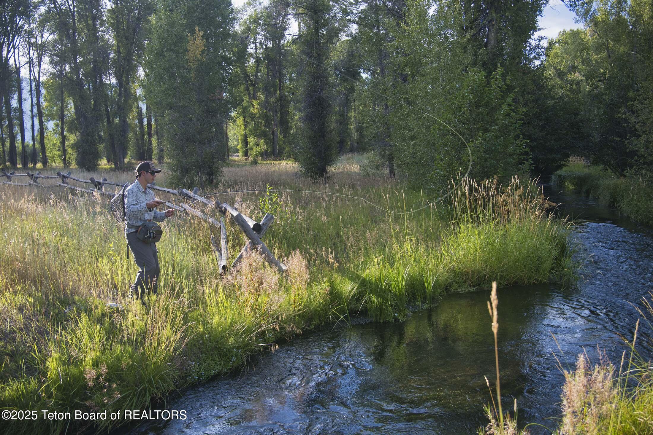 55 S ELY SPRINGS Road