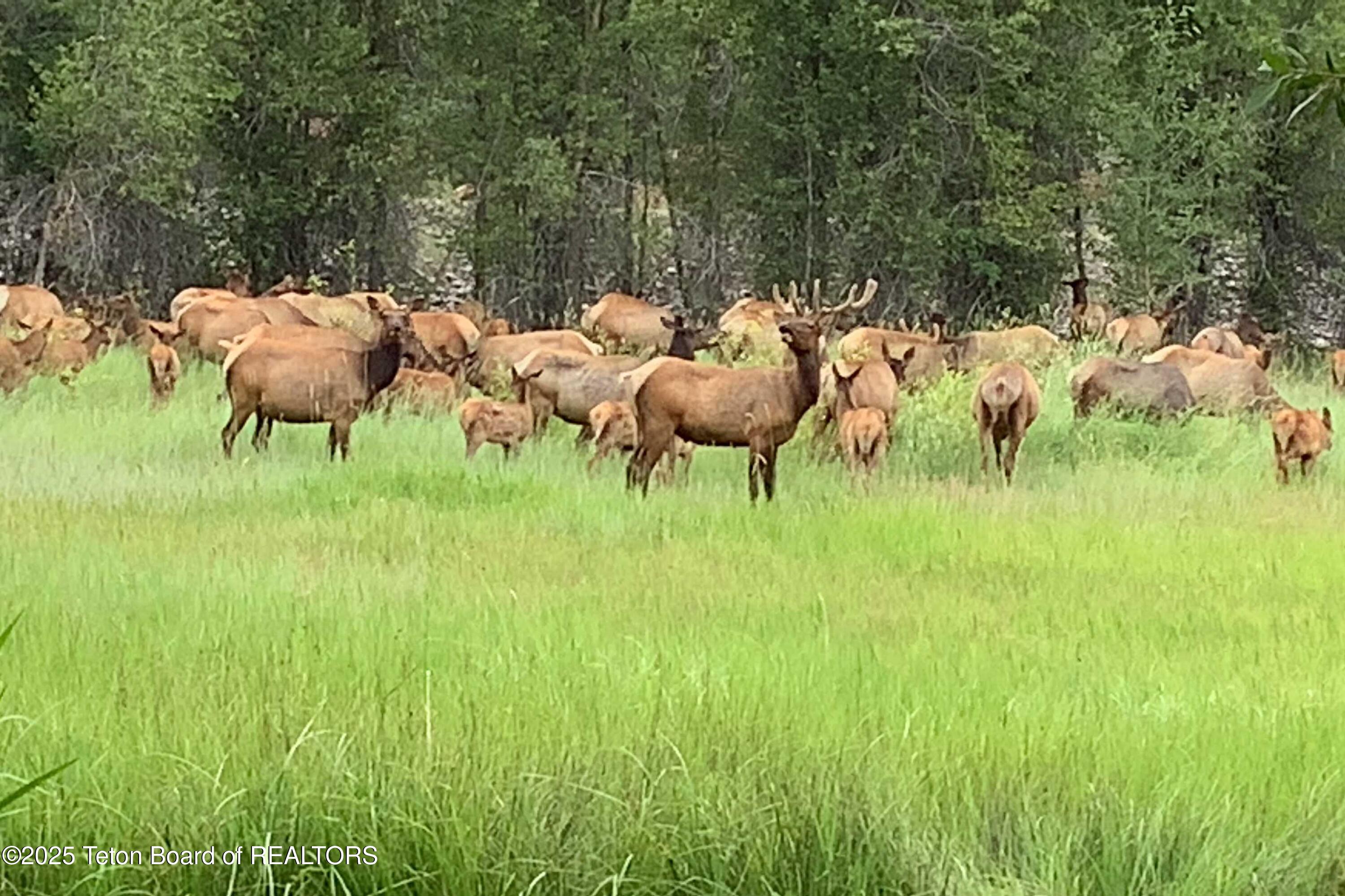 55 S ELY SPRINGS Road