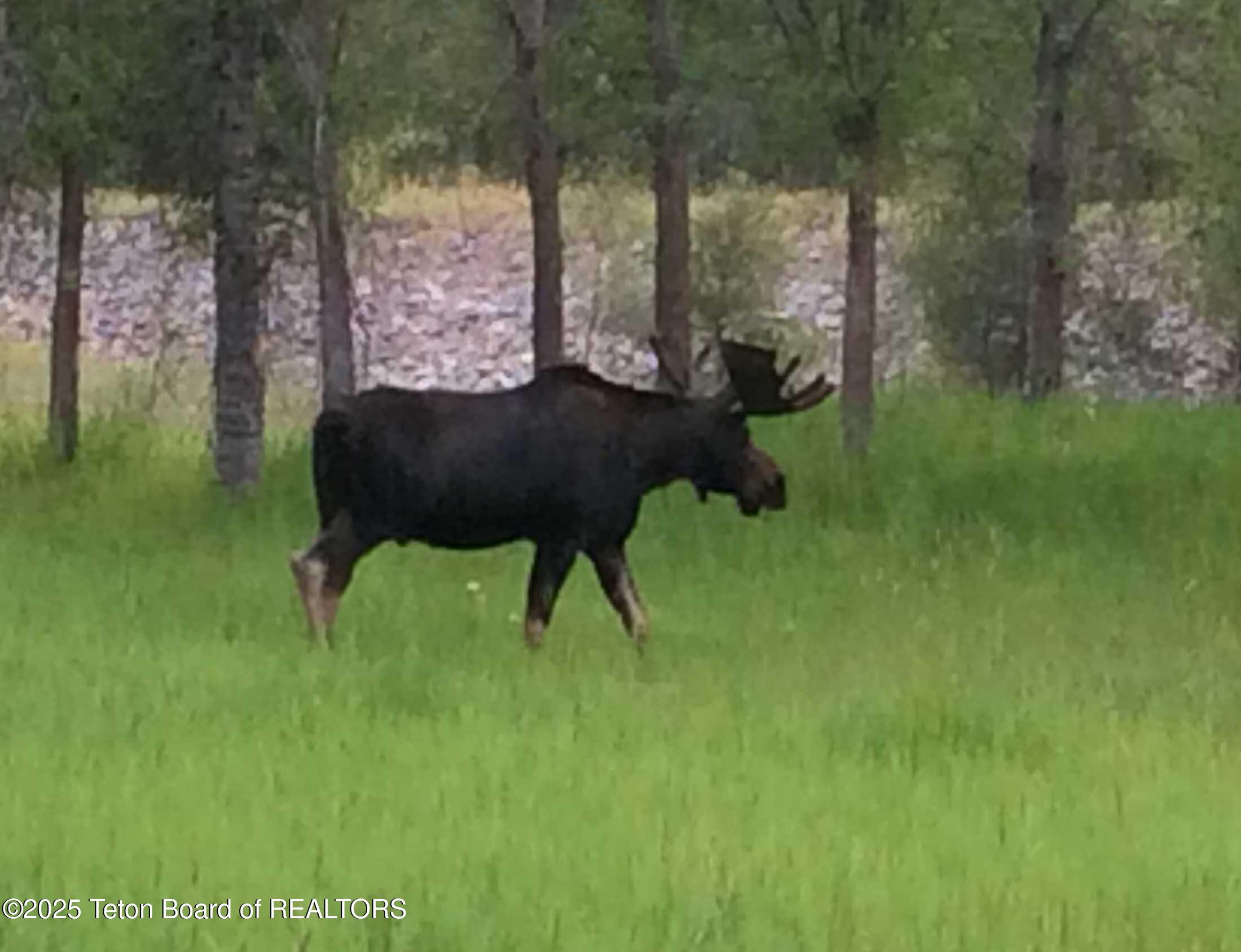 55 S ELY SPRINGS Road