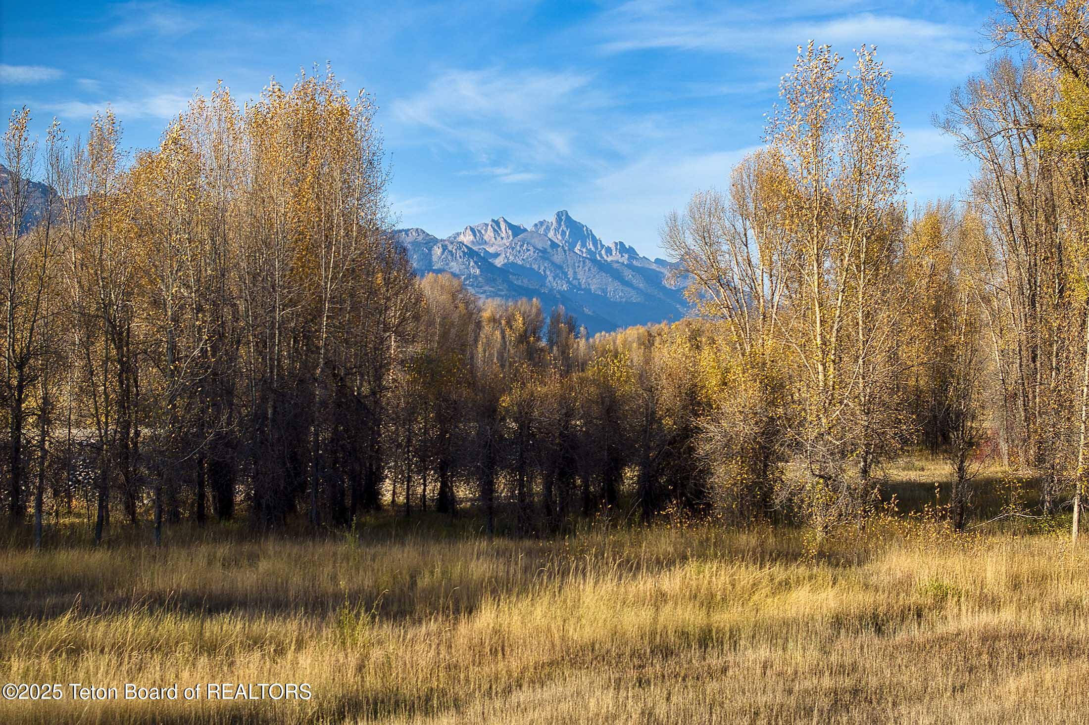 55 S ELY SPRINGS Road