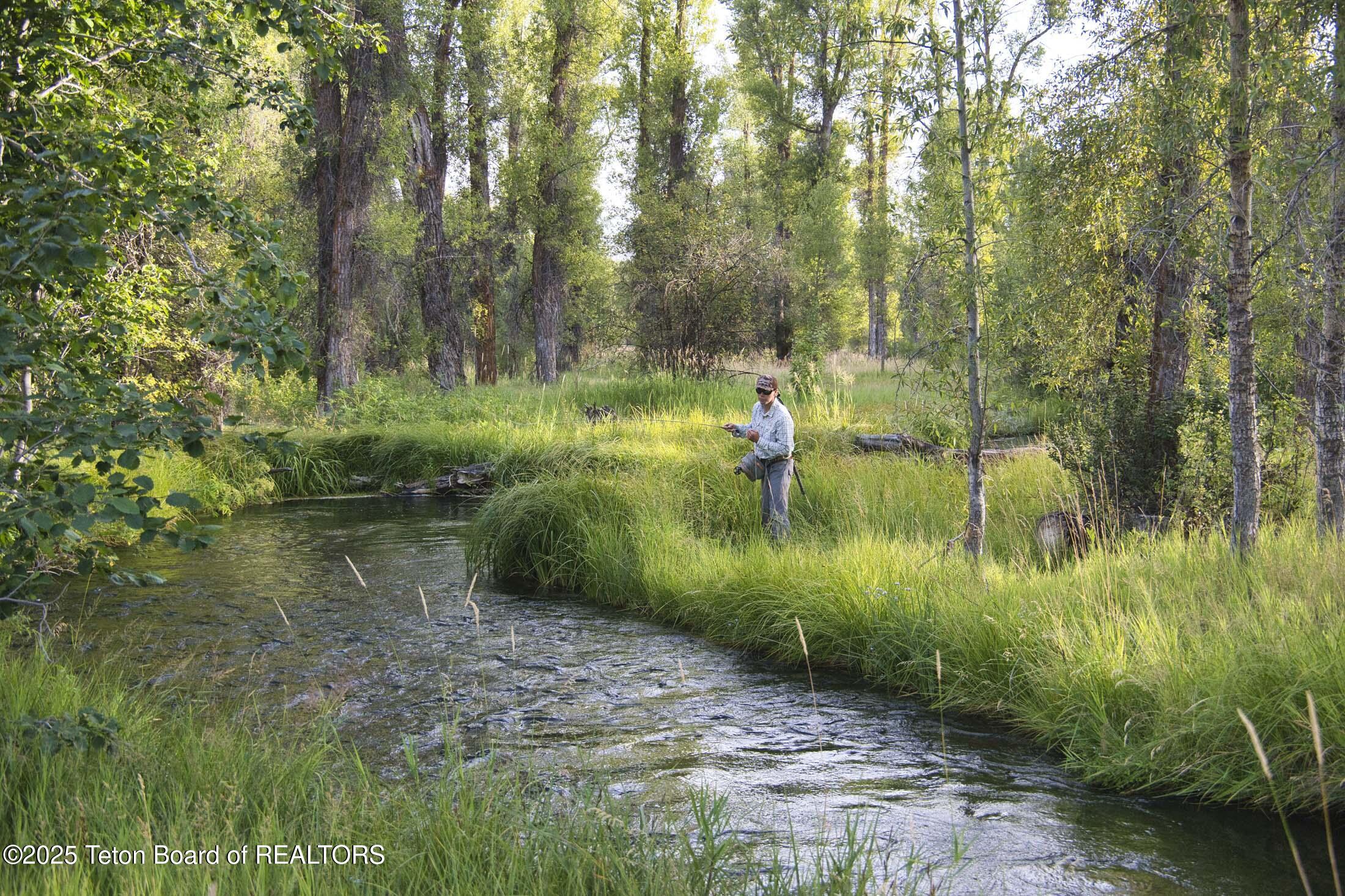 55 S ELY SPRINGS Road